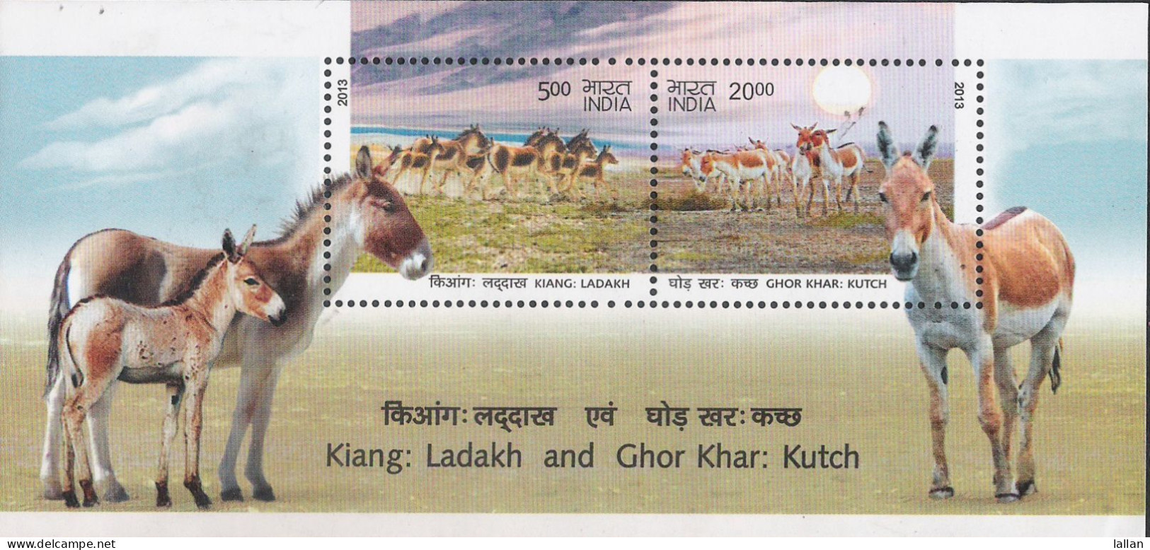 Asses Of Ladakh And Kutch, 2V MS, 2013 MSALM2P20 - Donkeys