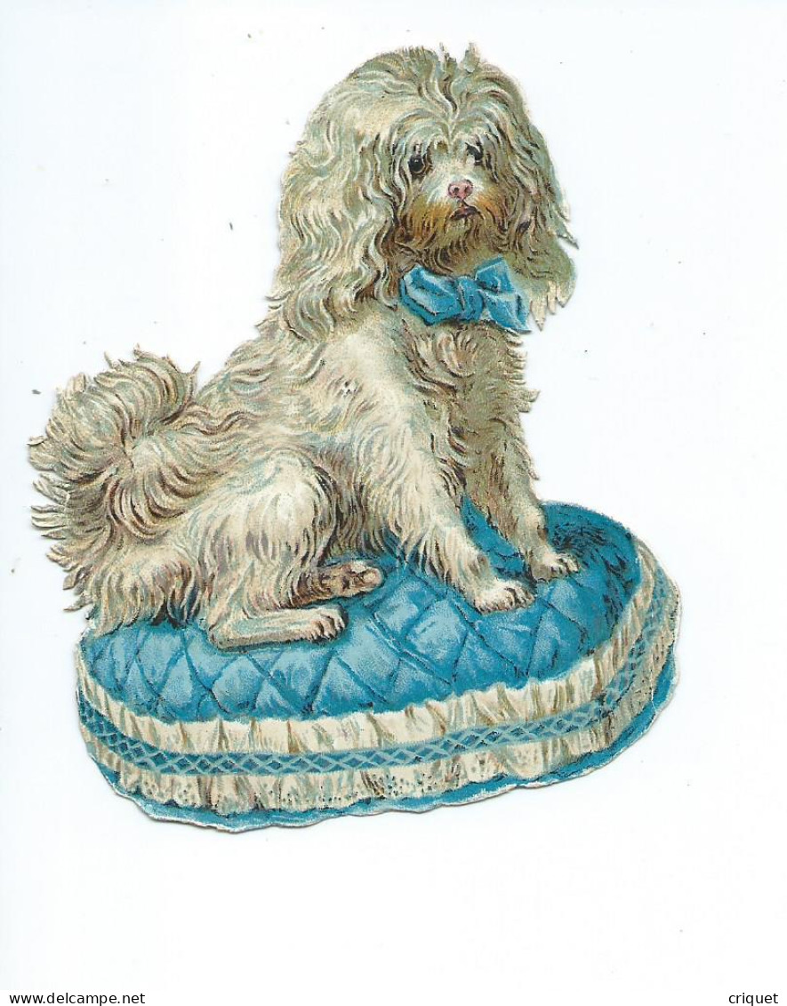 Découpis Grand Format 35, Chien De Race Avec Ruban Sur Un Coussin, Thème Chiens - Animales