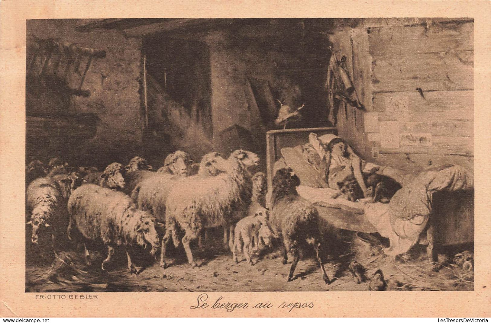 PHOTOGRAPHIE - Le Berger Au Repos - Troupeau De Moutons -  Carte Postale  Ancienne - Photographie