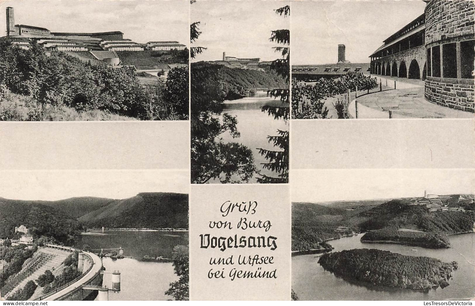 PHOTOGRAPHIE - GruSS Von Burg Vogelsang Und Urasee Gei Gemünd - Carte Postale Ancienne - Photographie