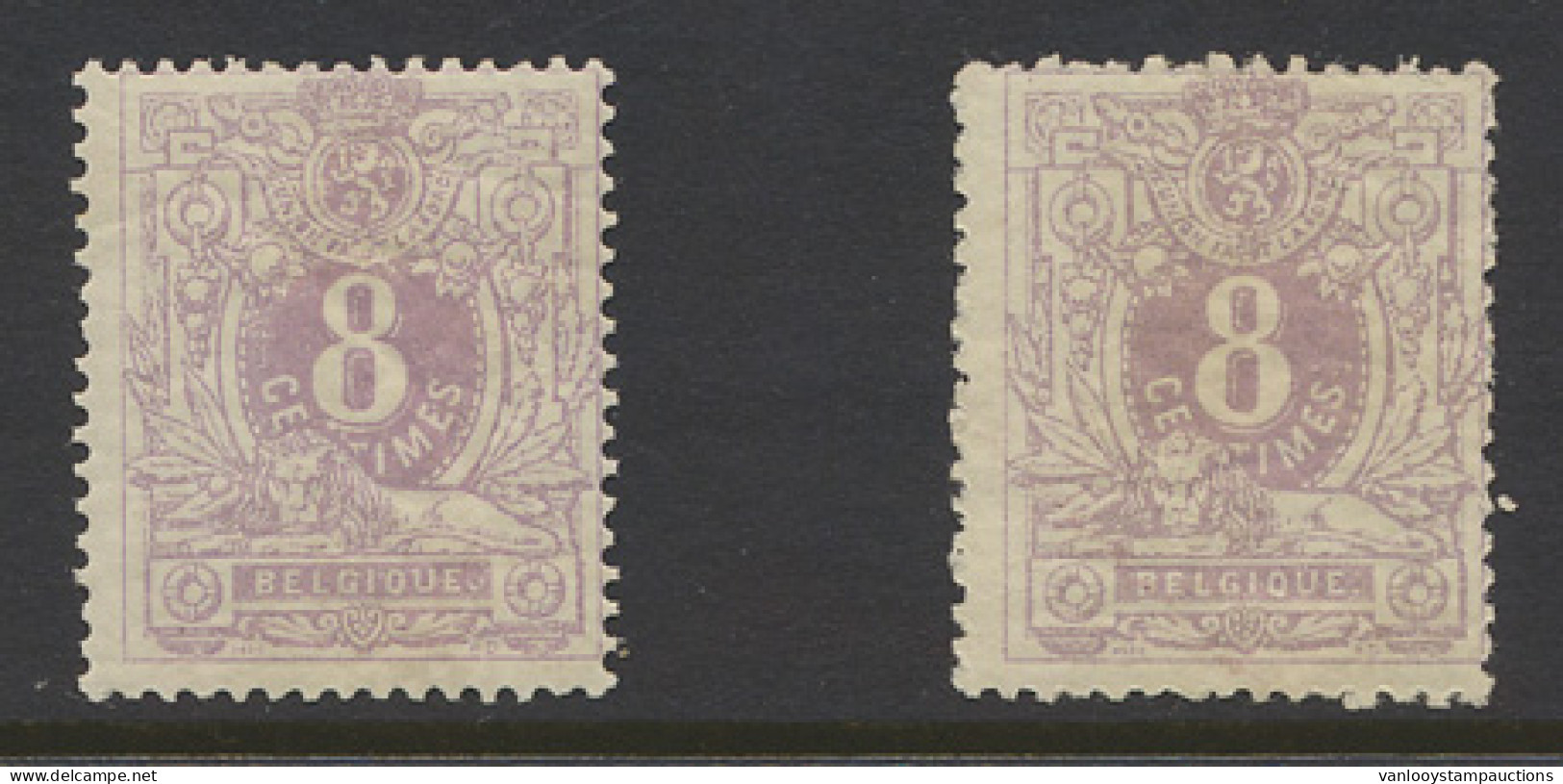 ** N° 29 '8 Cent.' (2x), 1x Met Gebruinde Gom En 1x Onregelmatige Tanding, M/ntz (OBP € 460) - 1869-1883 Leopold II.