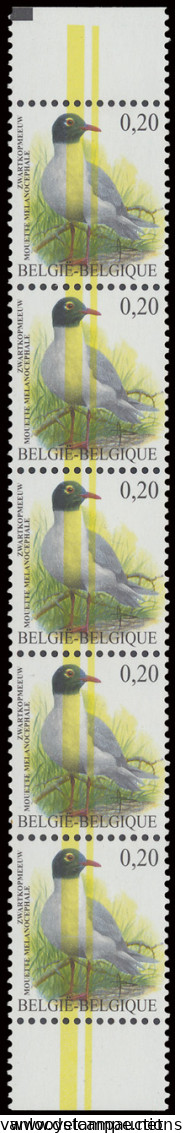 ** N° 3380-Cu Zwartkopmeeuw €0,20 In Verticale Strook Van 5 Met Curiositeit 2 Gele Strepen Door Alle Zegels, Zm - 1985-.. Pájaros (Buzin)