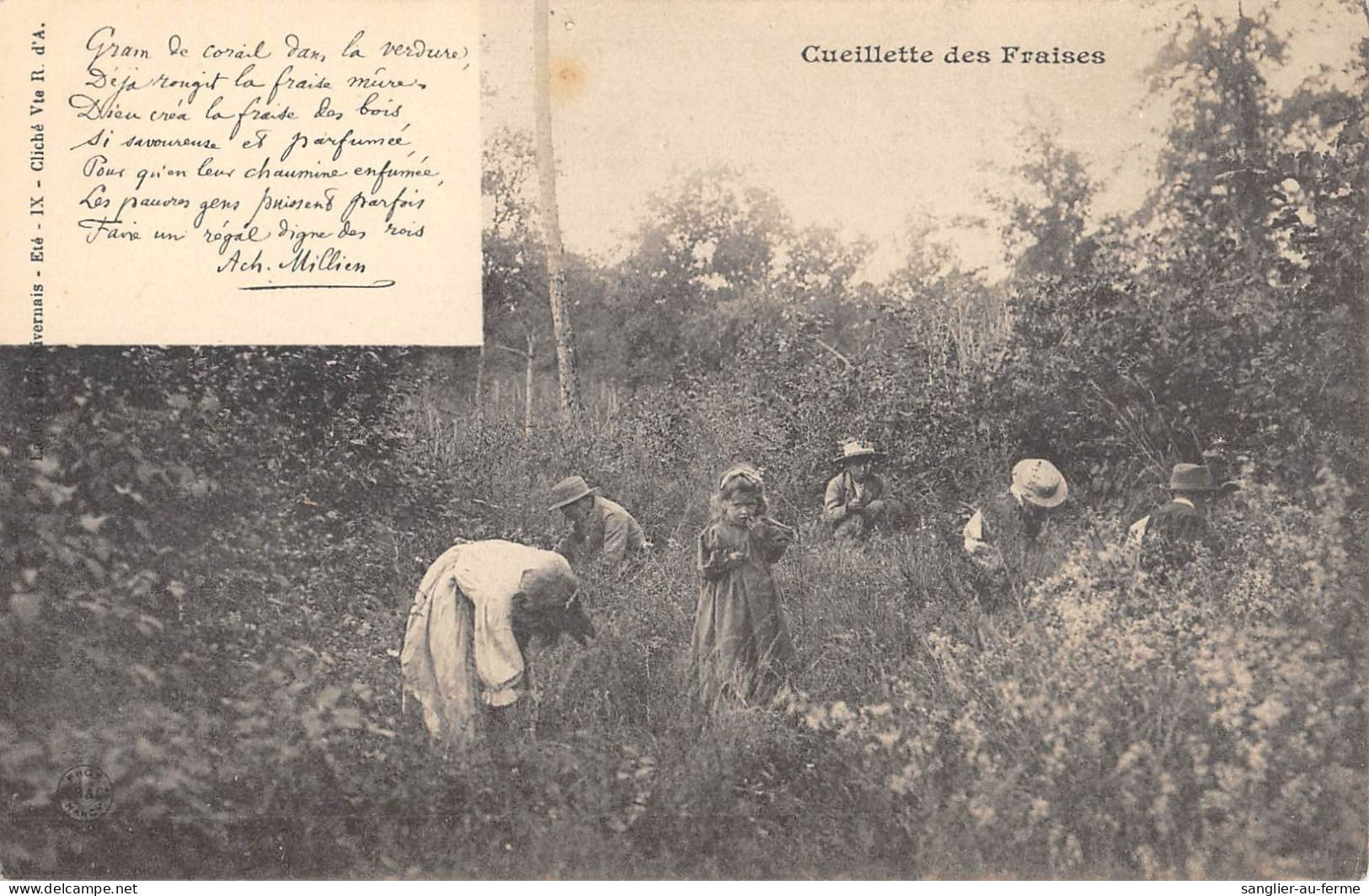 CPA 58 NIVERNAIS / CUEILLETTE DES FRAISES - Other & Unclassified