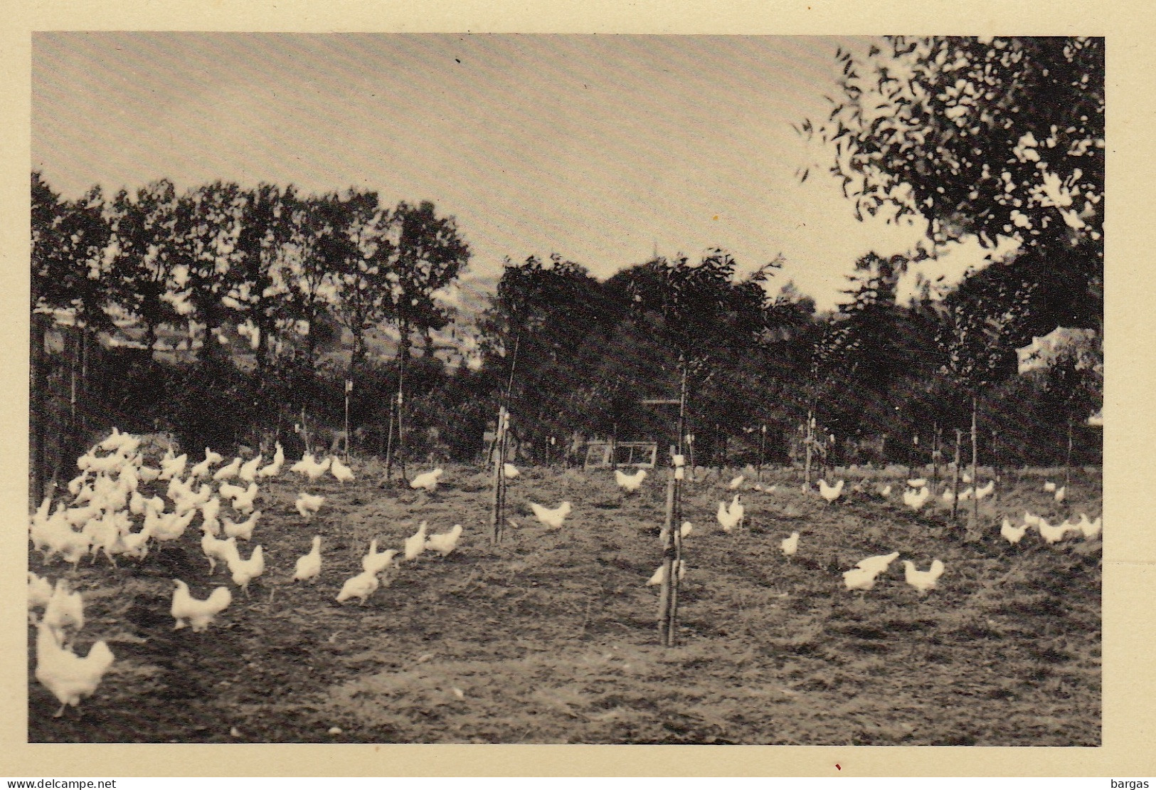 Carte Braine L'alleud Collège Cardinal Mercier CCM Aviculture - Braine-l'Alleud