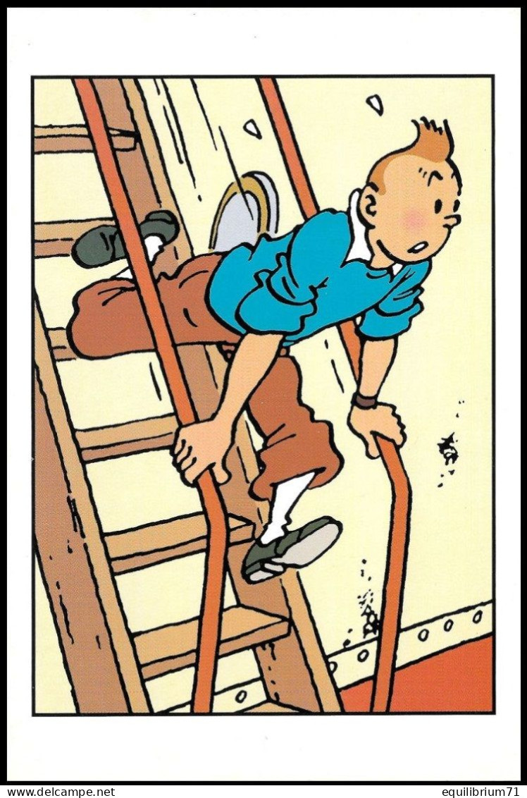 Double Carte Pliante/Dubbele Vouwkaart**- Kuifje/Tintin - Milou/Bobbie - Haddock - Philabédés (fumetti)