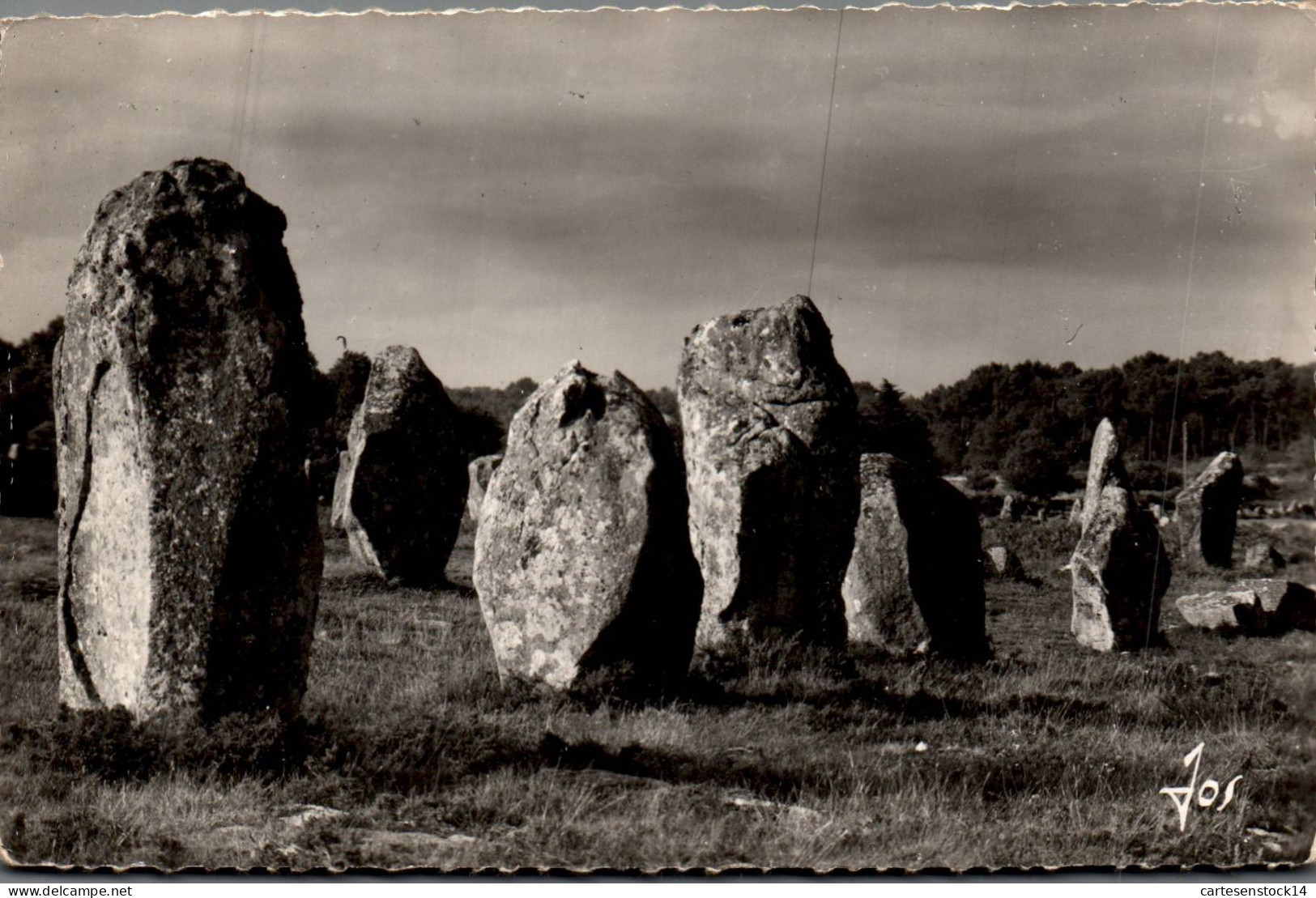 N°40922 Z -cpsm Carnac -alignements De Kermaria- - Dolmen & Menhire