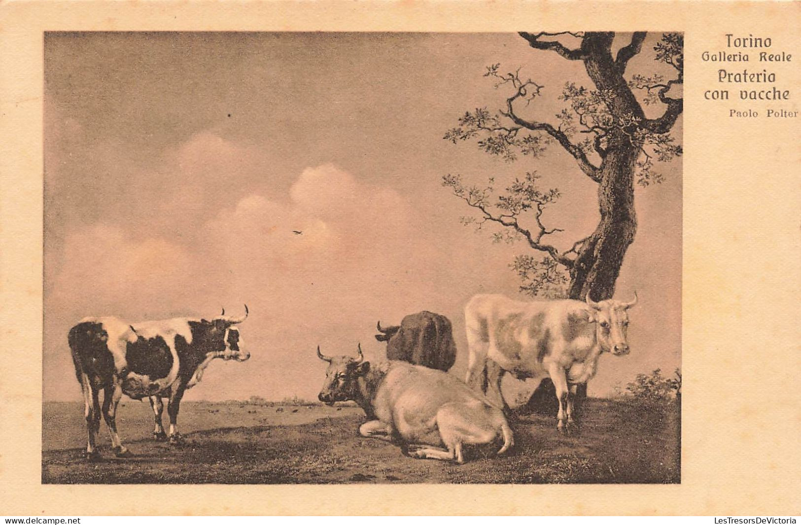 ITALIE - Torino - Galerie Royal - Prairie Avec Des Vaches - Carte Postale Ancienne - Sonstige & Ohne Zuordnung