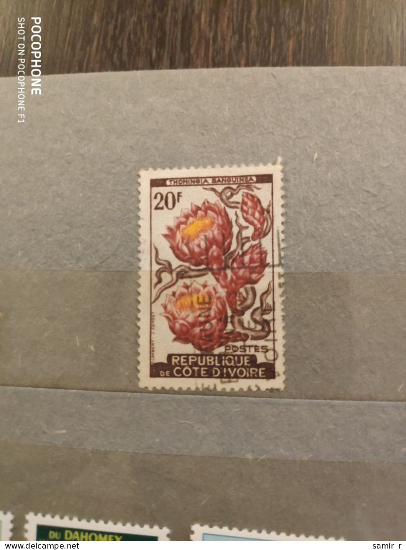 1961 Ivory Cost	Flowers (F41) - Côte D'Ivoire (1960-...)