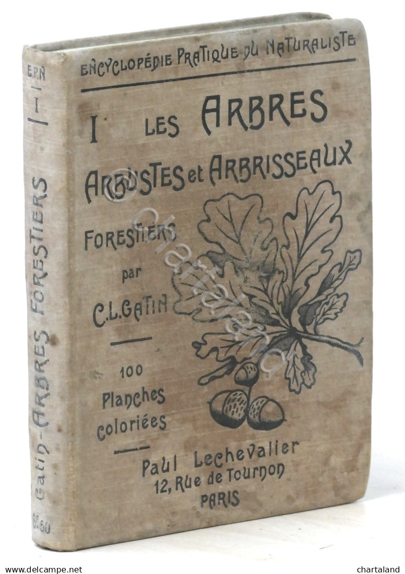 C. L. Gatin - Les Arbres, Arbustes Et Arbrisseaux Forestiers - 1913 - Altri & Non Classificati