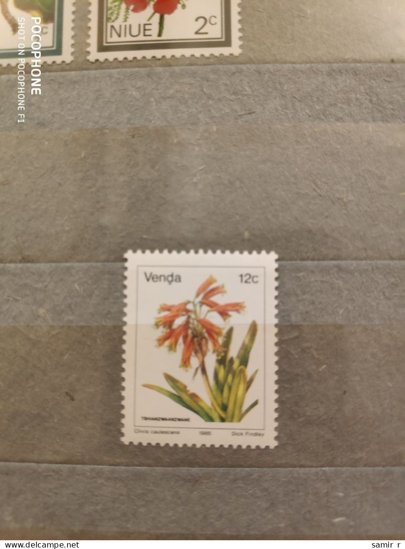 1985	Venda	Flowers (F41) - Venda