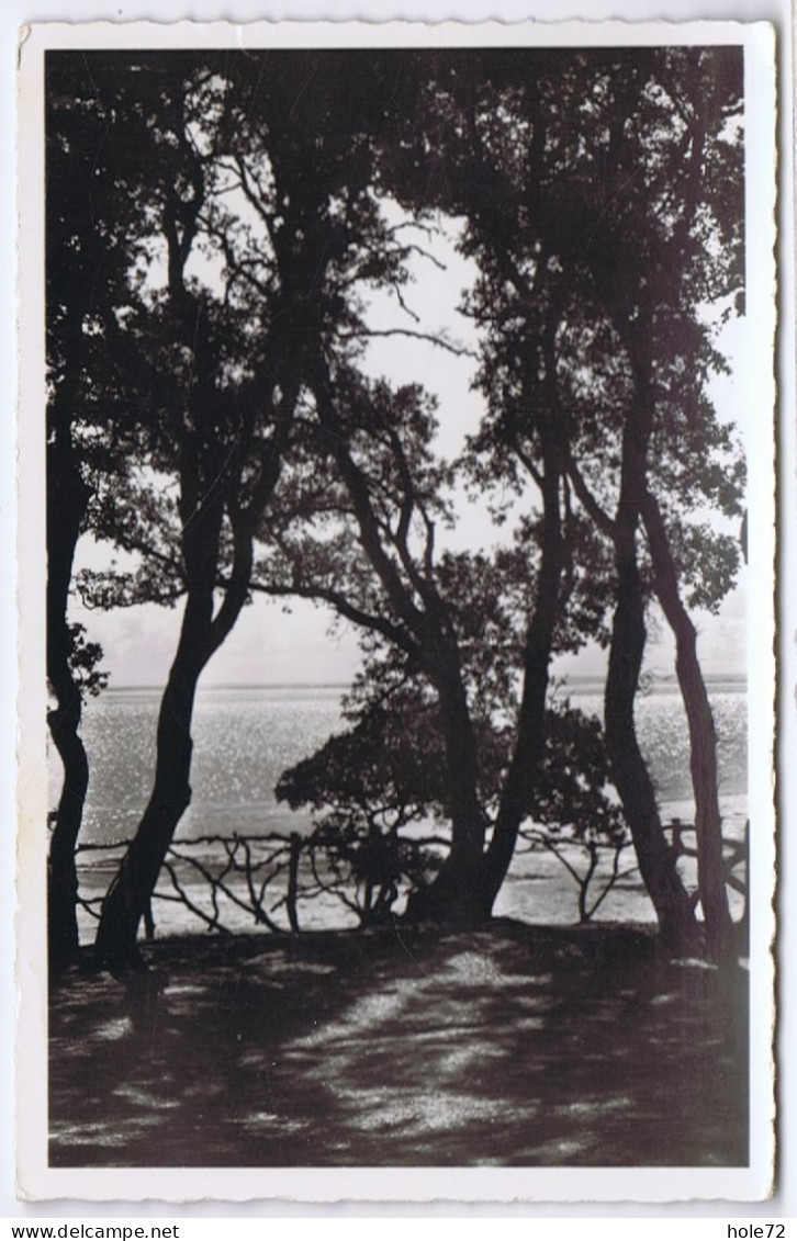 85 - Ile De Noirmoutier (Vendée) - Bois De La Chaize - Contre-jour Au Fort Saint-Pierre - Noirmoutier