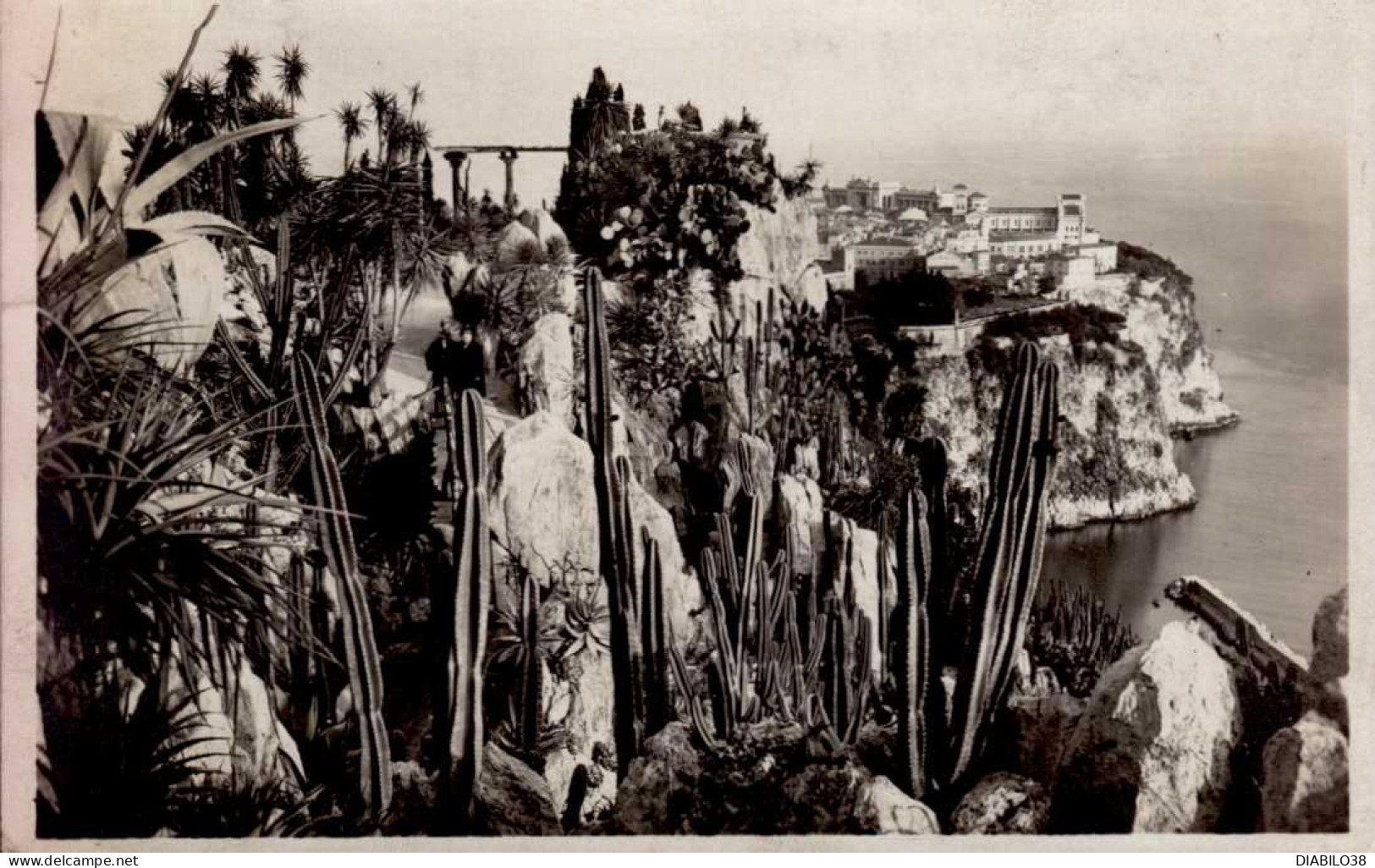 MONACO    .  LE ROCHER  DE MONACO VU DES JARDINS EXOTIQUES - Jardin Exotique