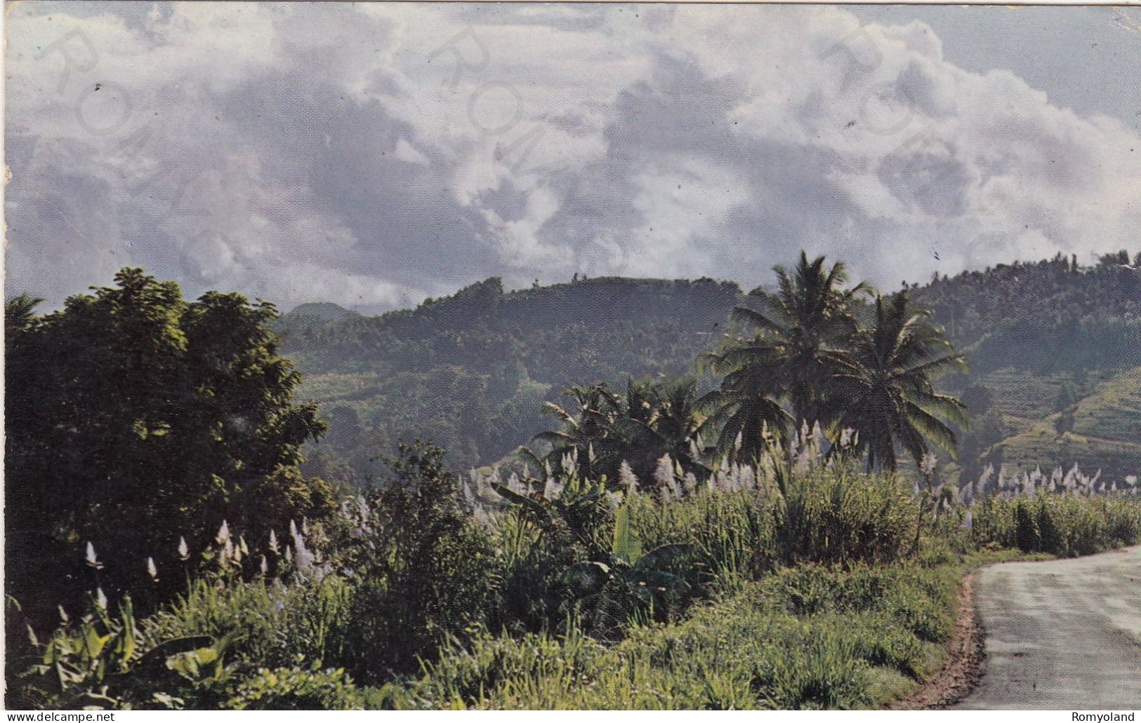 CARTOLINA  MARTINIQUE-TROPICAL MORNING-VIAGGIATA 1937 - La Trinite