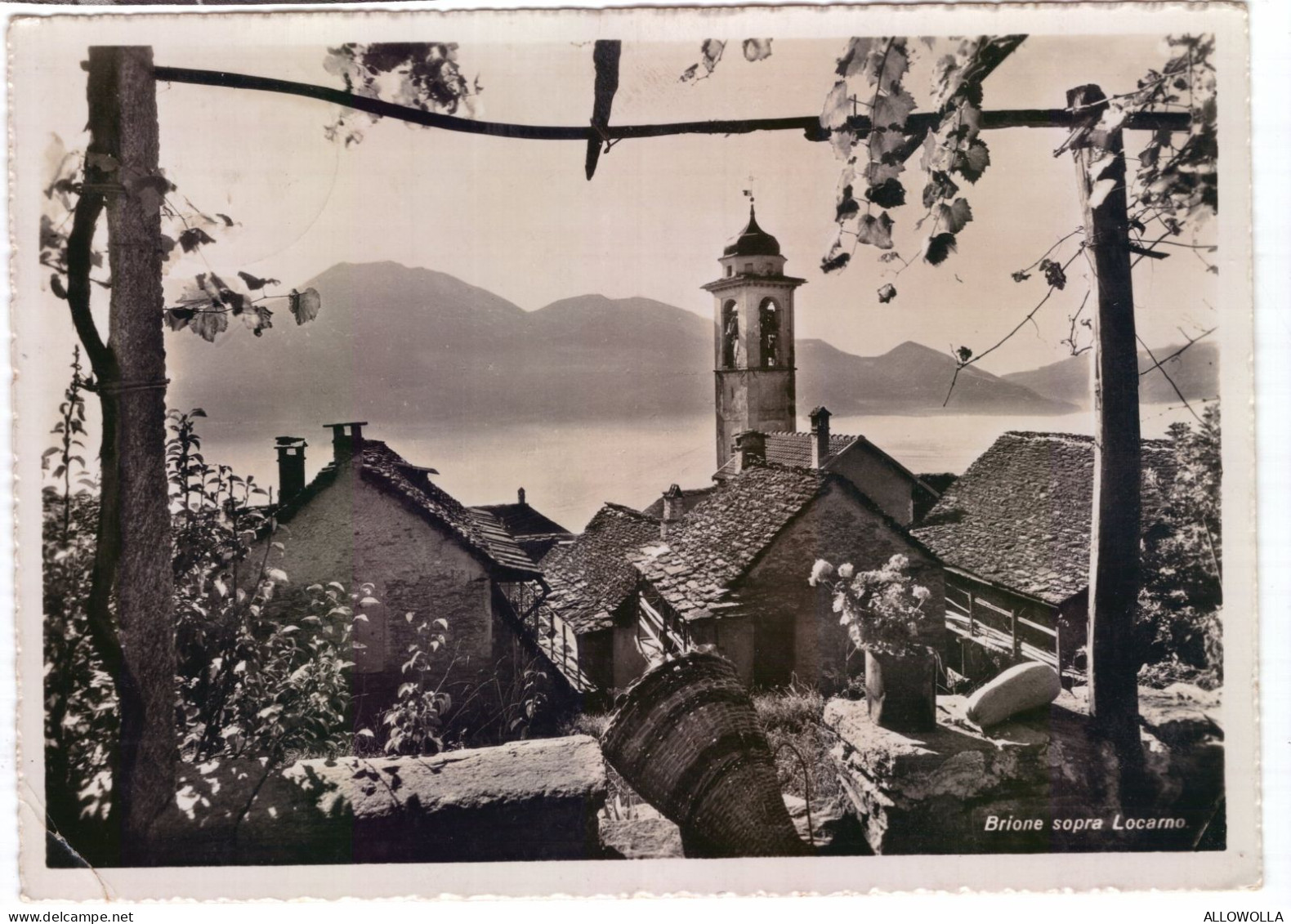 22728 " BRIONE SOPRA LOCARNO " -PANORAMA-VERA FOTO-CART.POST. SPED.1947 - Brione Sopra Minusio