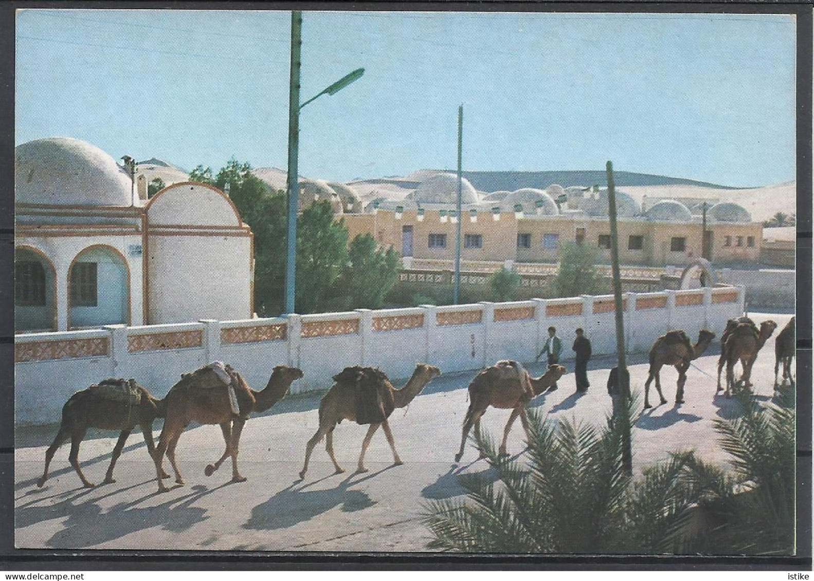 Algeria, El Qued, Street View With Camels, 1988. - El-Oued