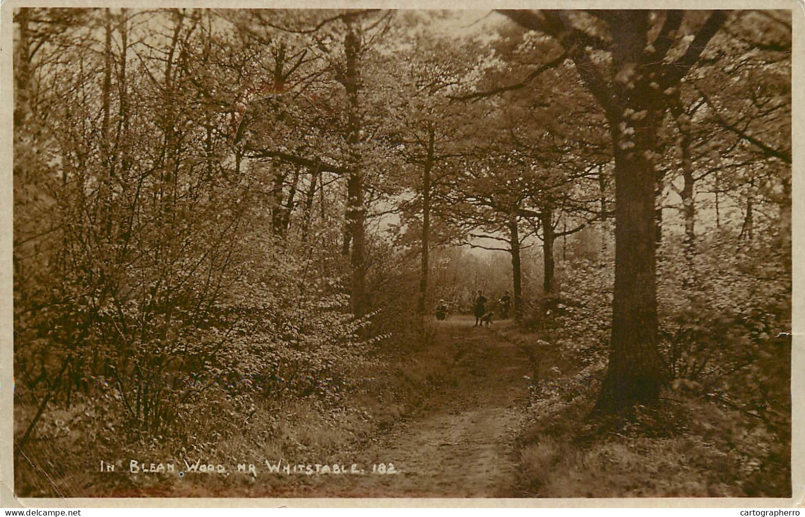 United Kingdom England Whitstable Bleam Wood - Other & Unclassified