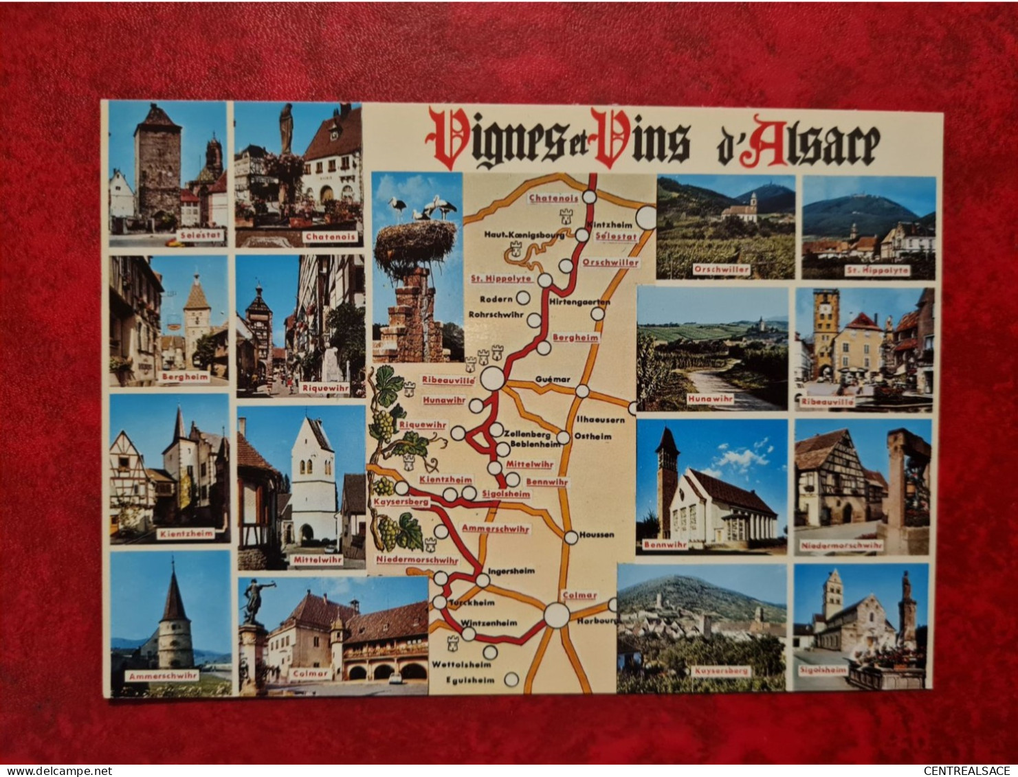 Carte VIGNES ET VINS D'ALSACE BERGHEIM RIQUEWIHR MITTELWIHR AMMERSCHWIHR BENNWIHR DE CHATENOIS A COLMAR - Chatenois