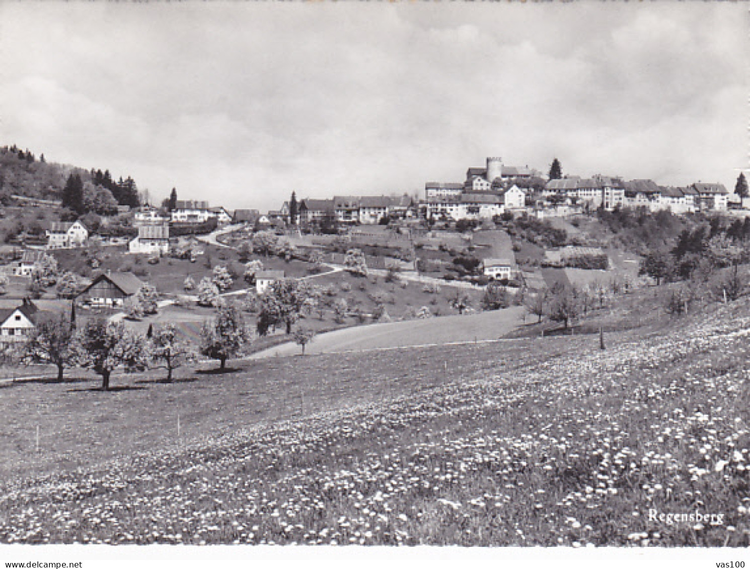 CPA REGENSBERG- PARTIAL TOWN PANORAMA, CASTLE - Regensberg