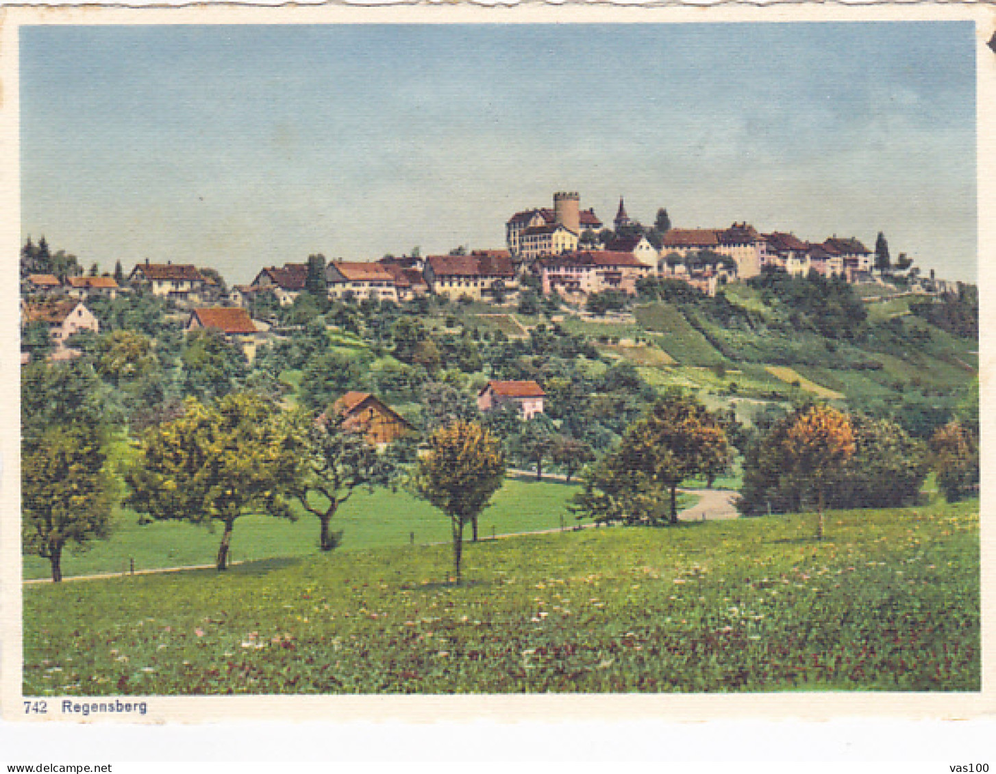 CPA REGENSBERG- PARTIAL TOWN PANORAMA, CASTLE - Regensberg