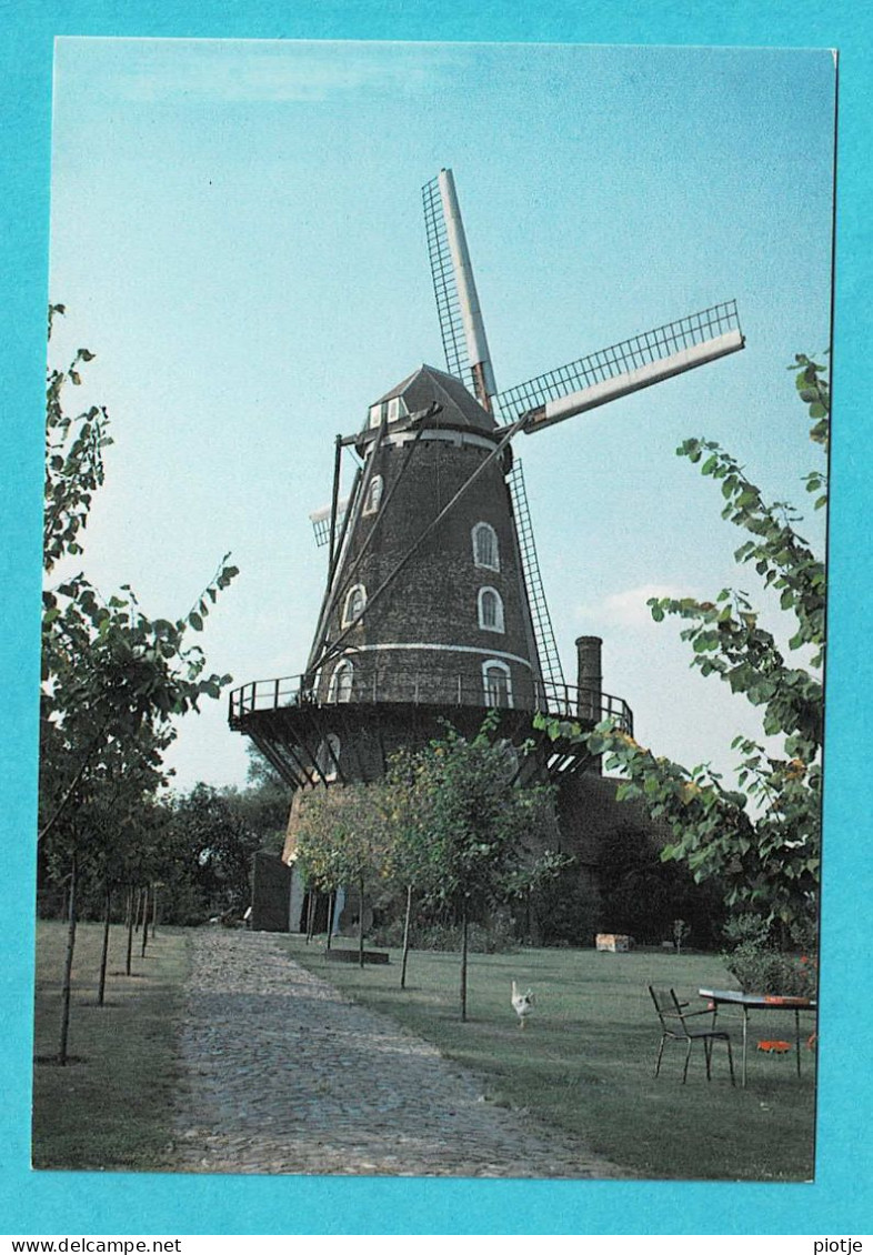 * Sint Gillis Waas (Oost Vlaanderen) * (Foto R. Buysse) Sint Pauwels, Roomans Molen, Moulin, Mill, Muhle - Sint-Gillis-Waas