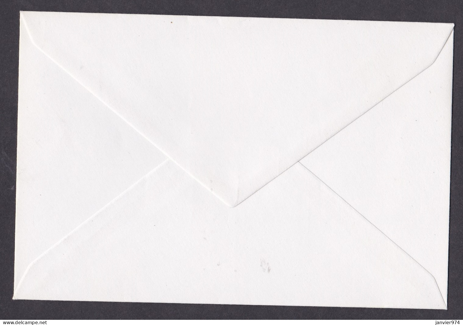 Japon 1969 , 2 Timbres Sur Enveloppe , Neuve , Voir Scan Recto Verso - Briefe U. Dokumente