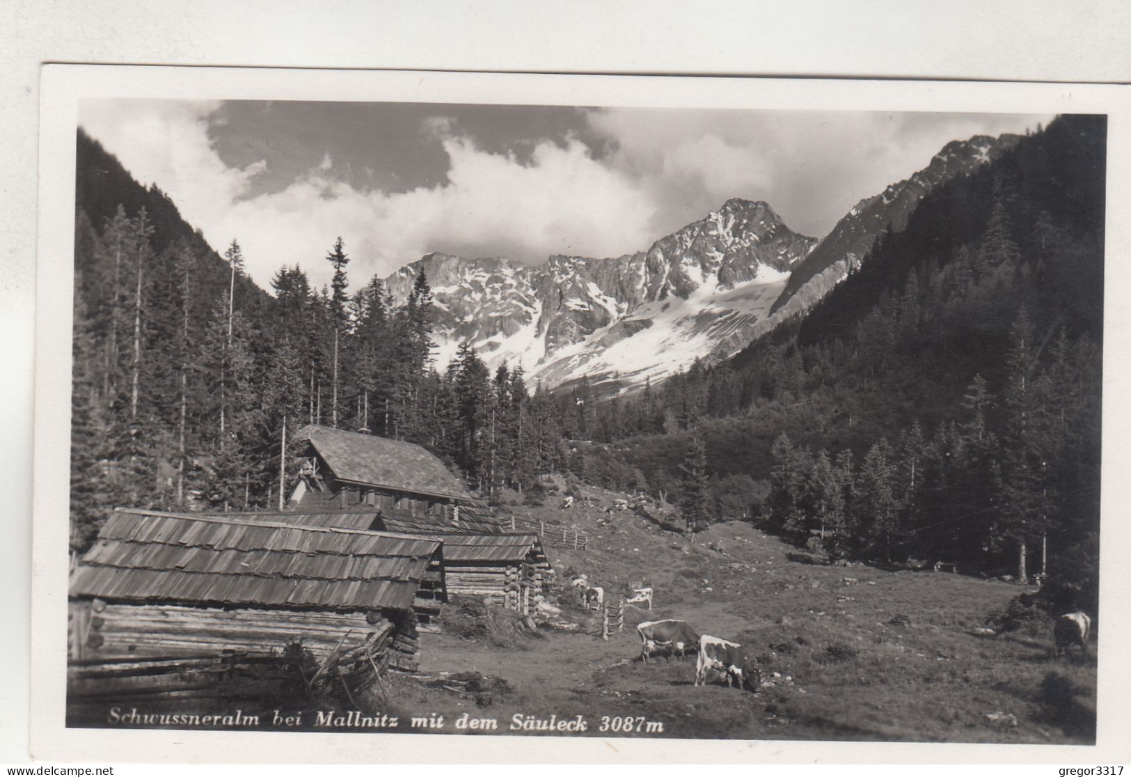 D5279) SCHWUSSNERALM Bei MALLNITZ - Kärnten - Mit Säuleck U. Kühen - Mallnitz