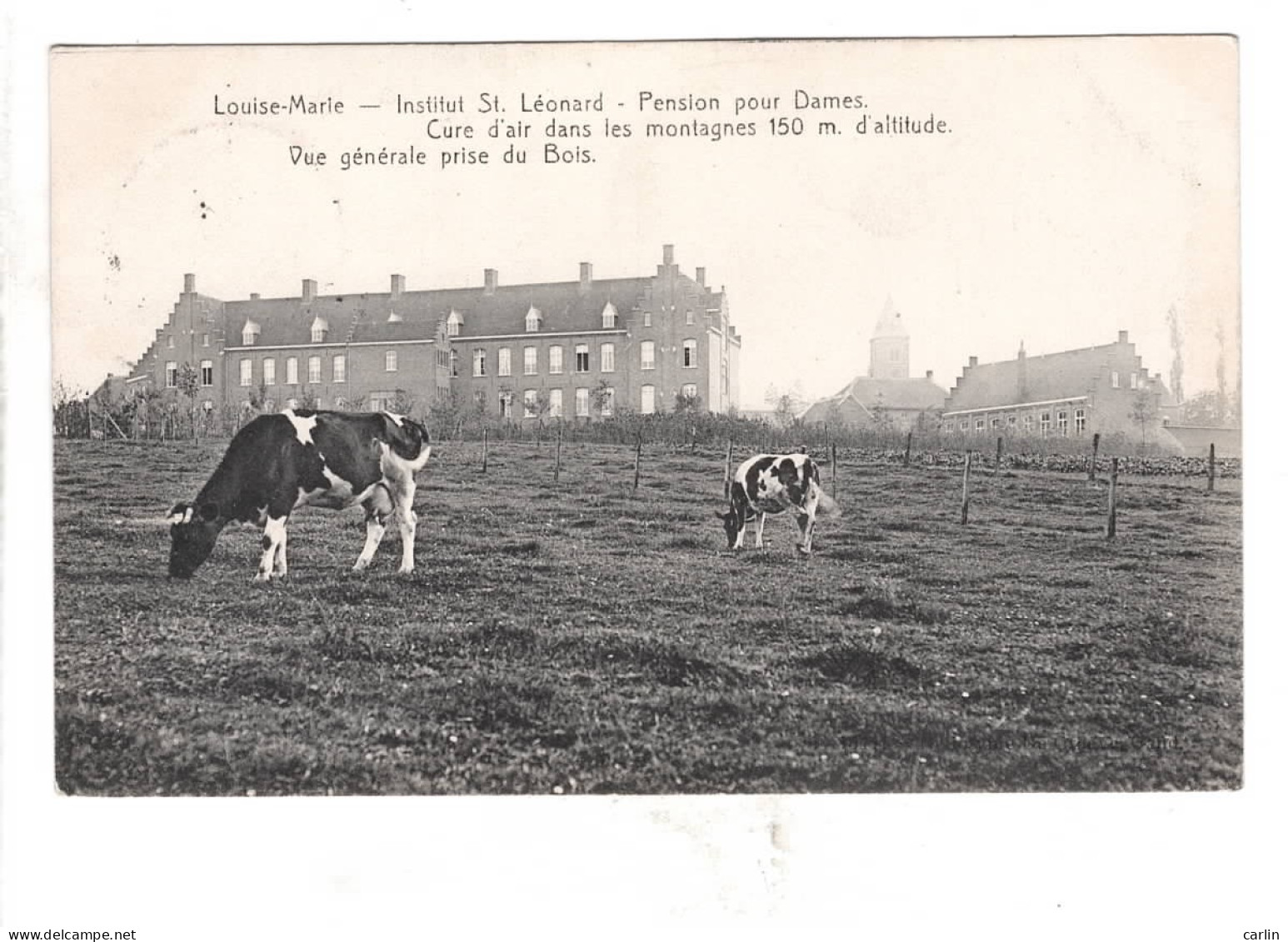 Louise-Marie : Institut St-Léonard - Maarkedal