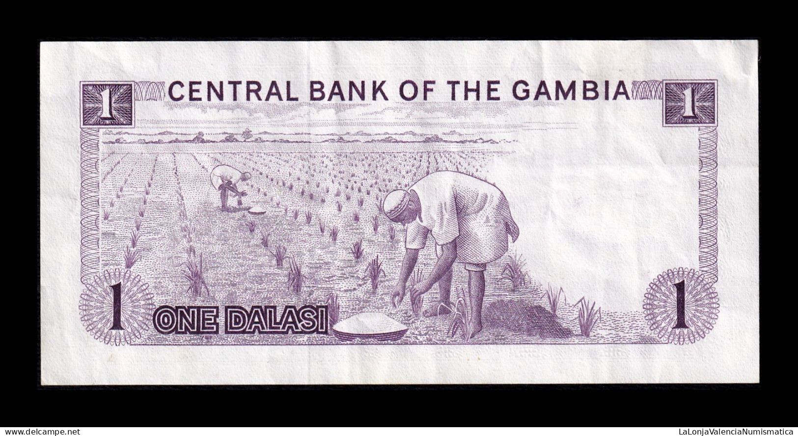 Gambia 1 Dalasi 1972-1986 Pick 4g Firma 8 Sc- AUnc - Gambie