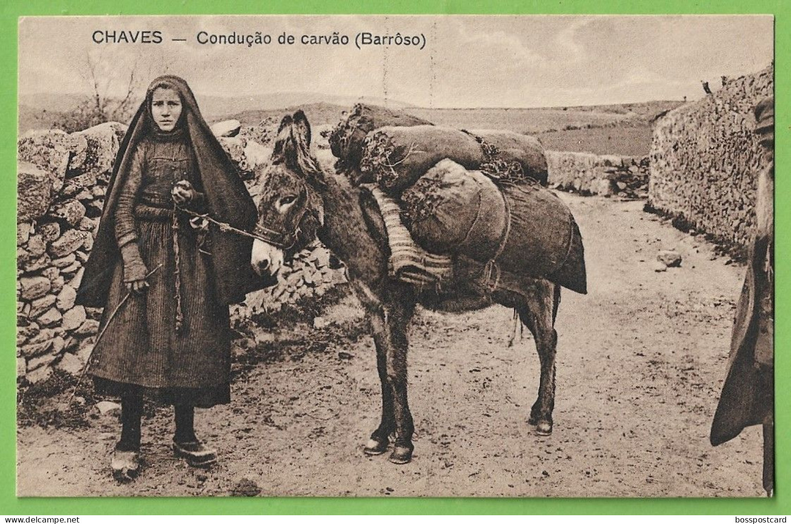 Chaves - Condução De Carvão No Barroso - Costumes Portugeses. Vila Real. Portugal. - Vila Real