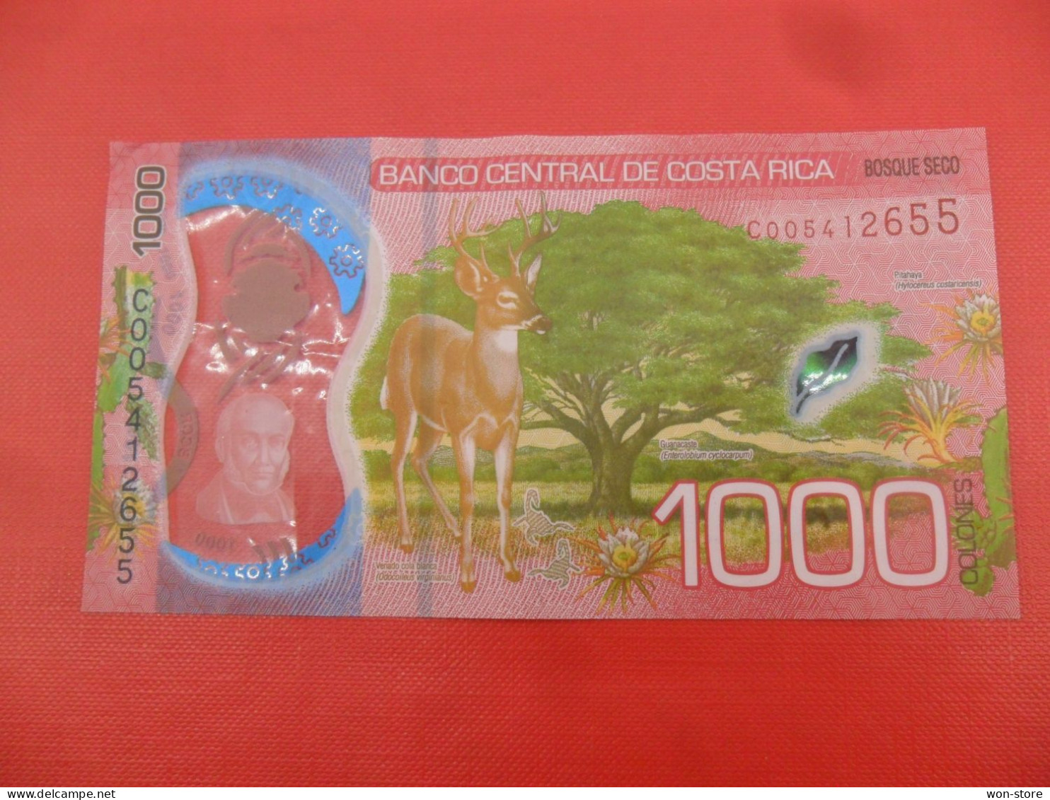 8839 - Costa Rica 1,000 Colones 2019 - Costa Rica