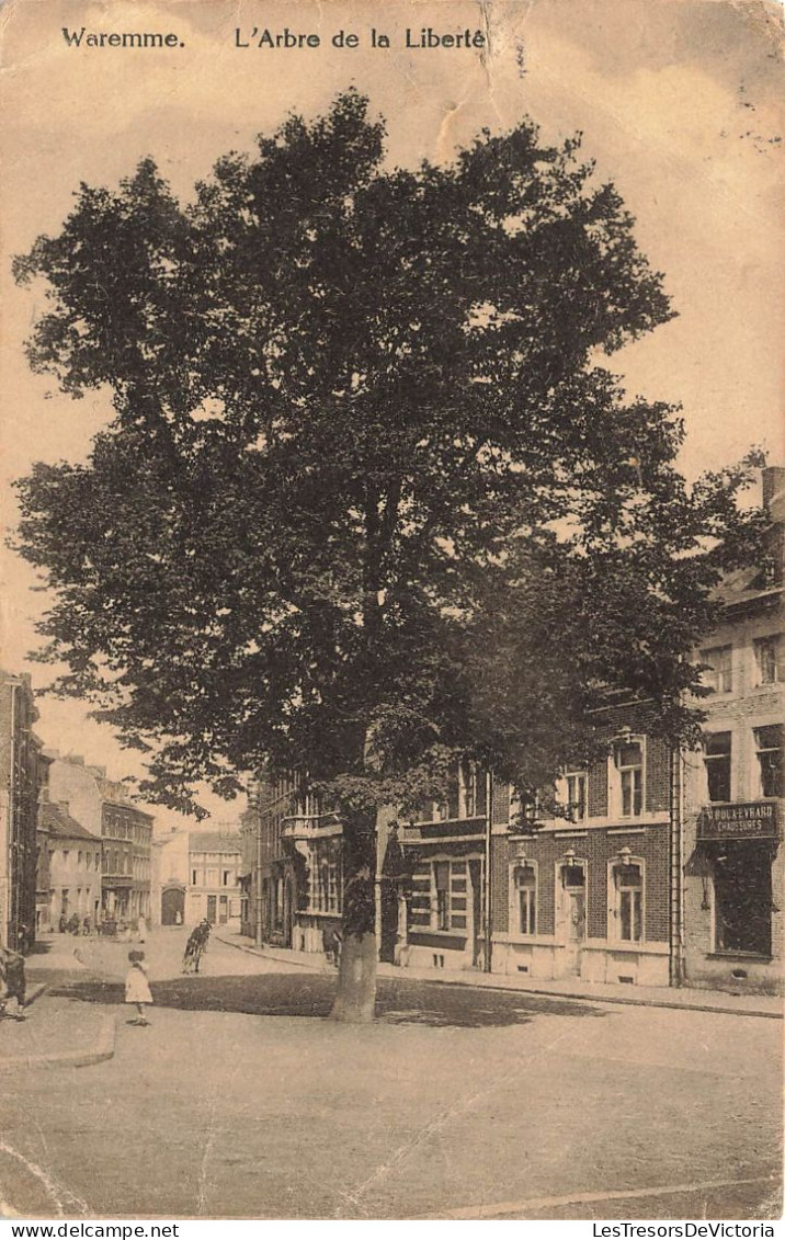 BELGIQUE - Waremme - L'arbre De La Liberté - Carte Postale Ancienne - Waremme