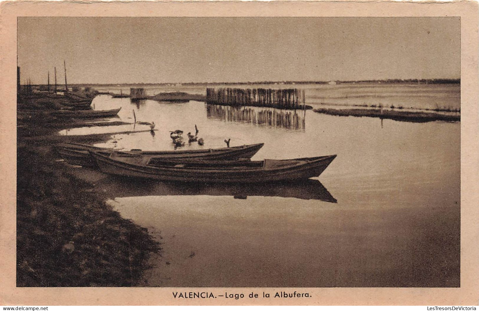 ESPAGNE - Valencia - Lago De La Albufera - Carte Postale Ancienne - Valencia