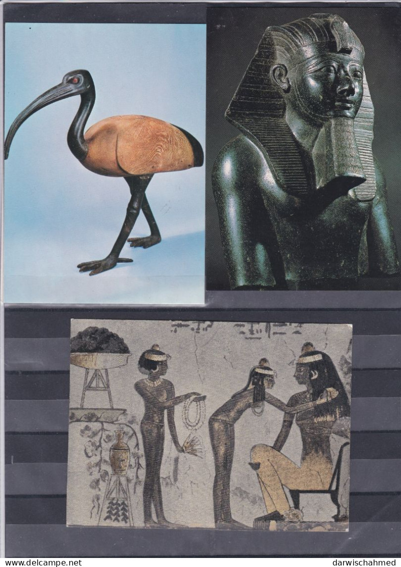 - ÄGYPTEN - EGYPT - DYNASTIE- ÄGYPTOLOGIE - ARCHIOLOGIE -  3 ANSICHTSKARTEN - 3 POST CARD - NEUE - Musea