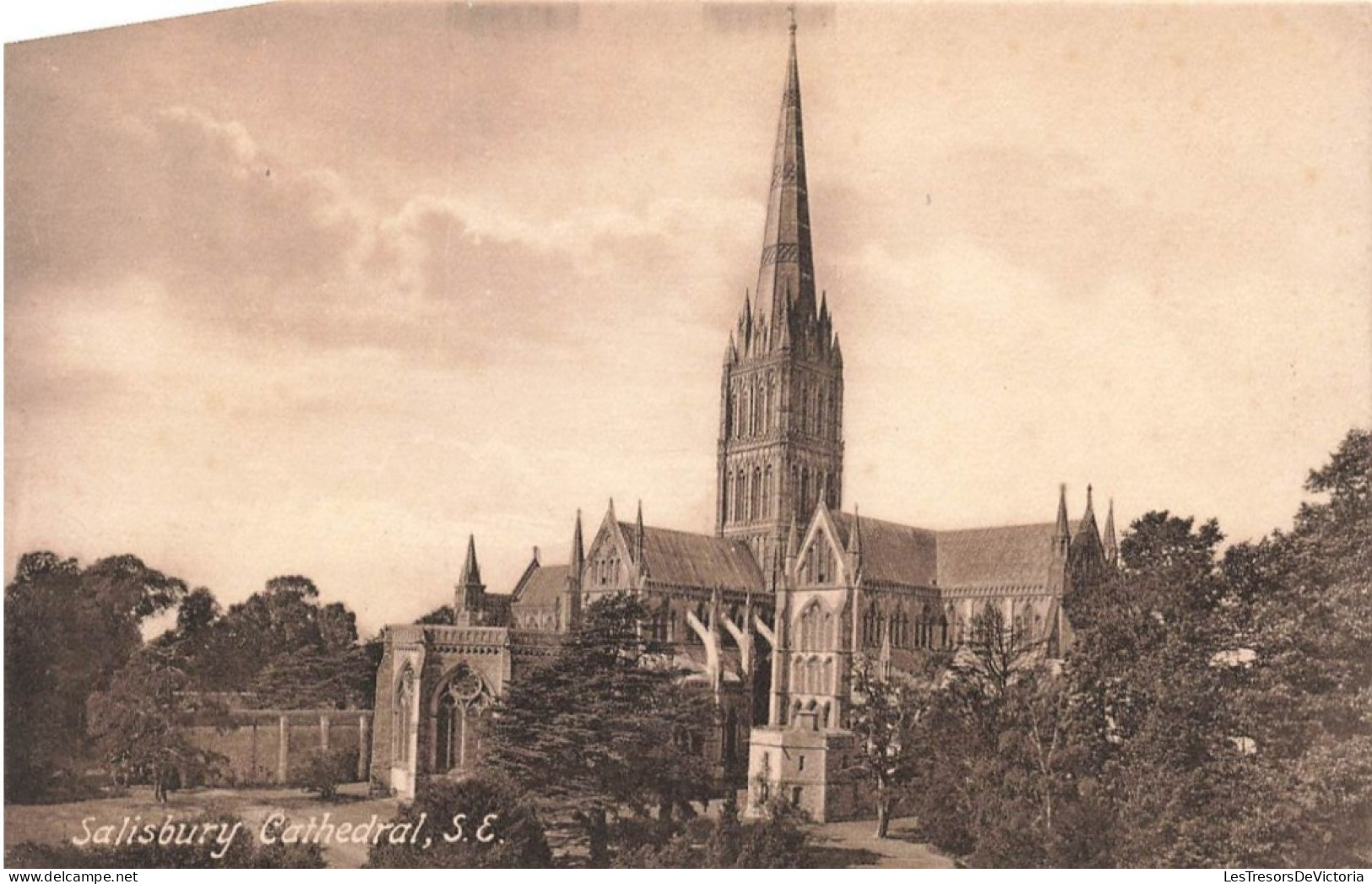 ROYAUME UNI - Angleterre - Salisbury Cathedral - SE - Carte Postale Ancienne - Salisbury