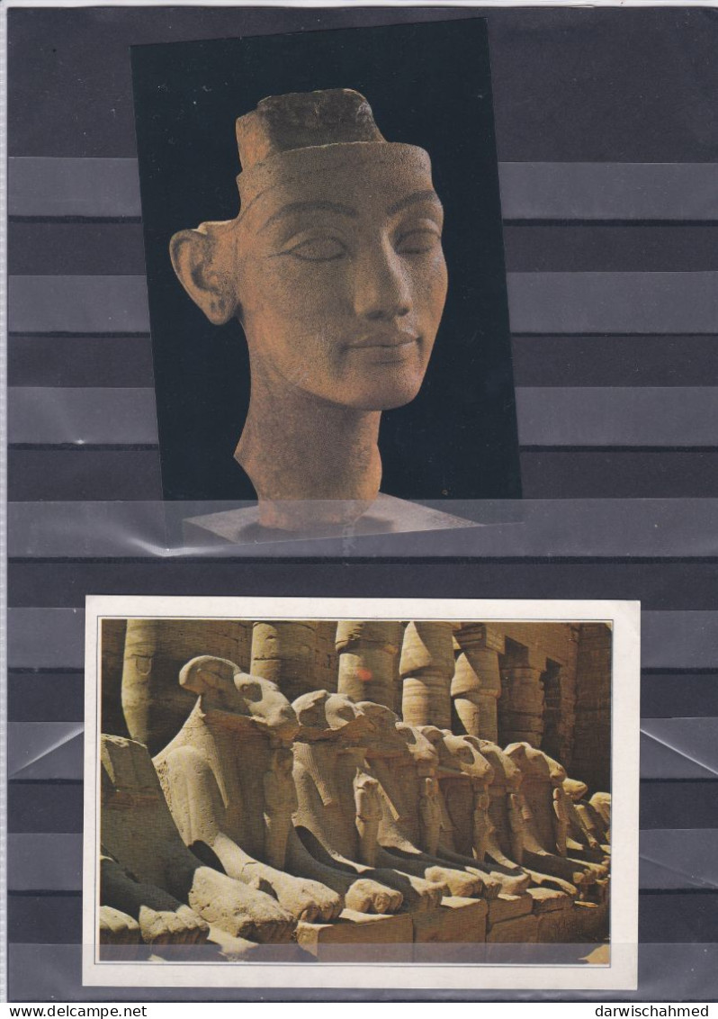 - ÄGYPTEN - EGYPT - DYNASTIE- ÄGYPTOLOGIE - ARCHIOLOGIE - ANSICHTSKARTEN - POST CARD - NEUE - Museums