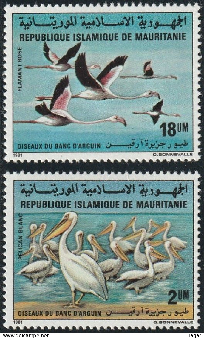 THEMATIC FAUNA:  BANC D'ARQUIN, PELICANS AND FLAMINGOS  -  MAURITANIE - Flamingo