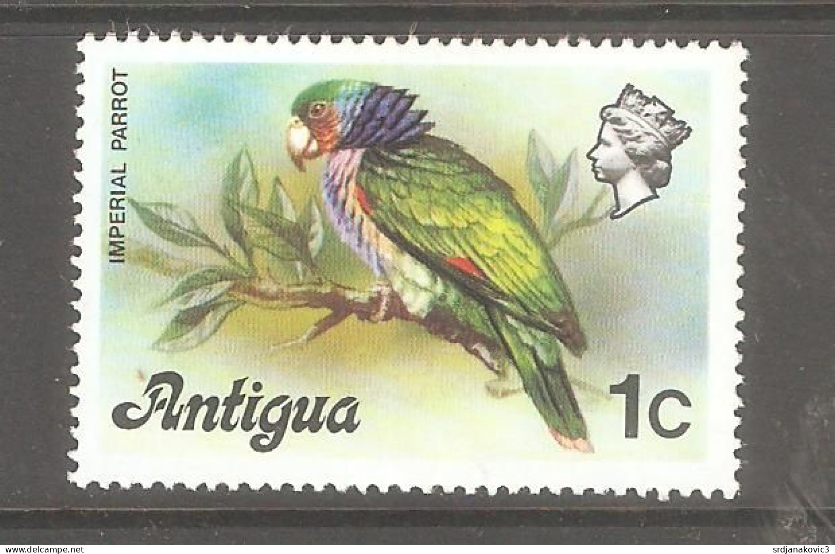 Antiqua MNH** - Specht- & Bartvögel