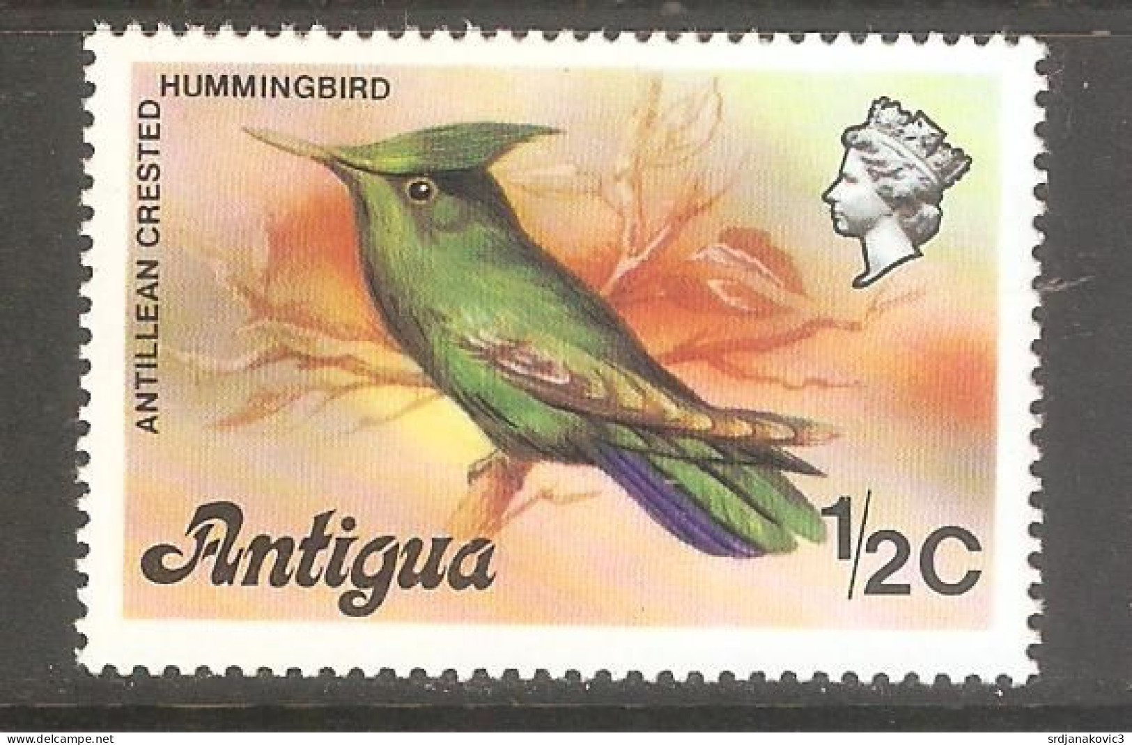 Antiqua MNH** - Piciformes (pájaros Carpinteros)