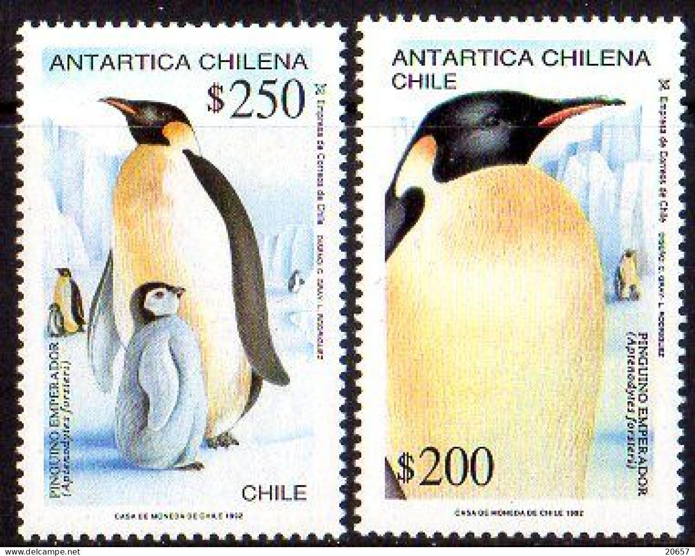 Chili Chile 1129/30 Pingouins - Pingouins & Manchots