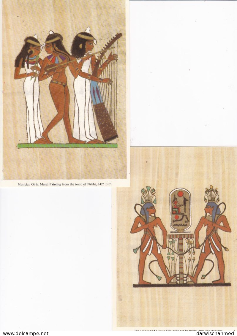 - ÄGYPTEN - EGYPT - DYNASTIE- ÄGYPTOLOGIE - ARCHIOLOGIE - ANSICHTSKARTEN - POST CARD - NEUE - Museums