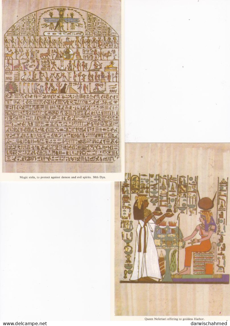 - ÄGYPTEN - EGYPT - DYNASTIE- ÄGYPTOLOGIE - ANSICHTSKARTEN -  KÖNIGIN NEFERTARI -POST CARD - NEUE - Musea