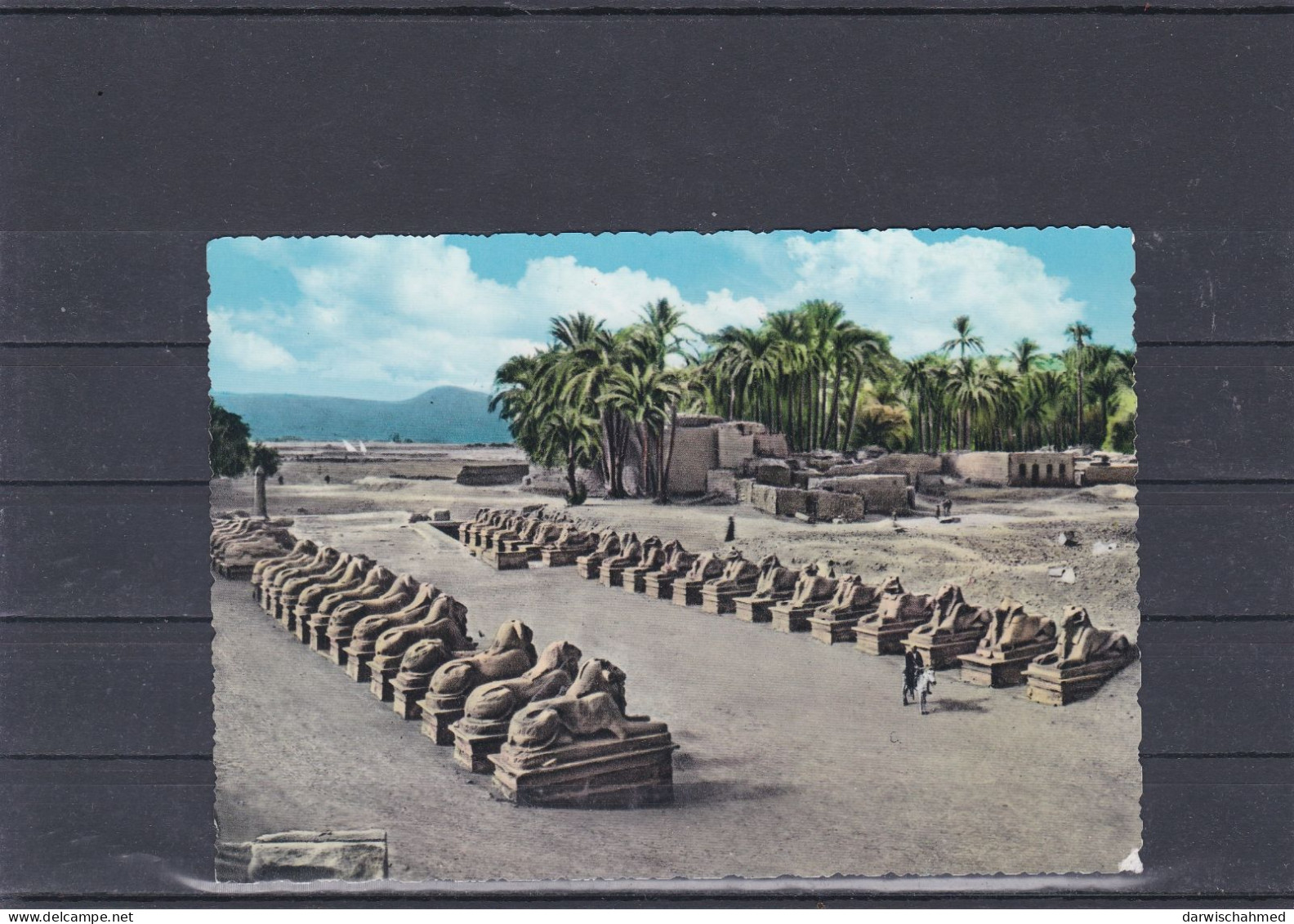 ÄGYPTEN -EGYPT -DYNASTIE-ÄGYPTOLOGIE - ANSICHTSKARTEN - KARNAK- SPHINX ALLEE -POST CARD - - Sphinx