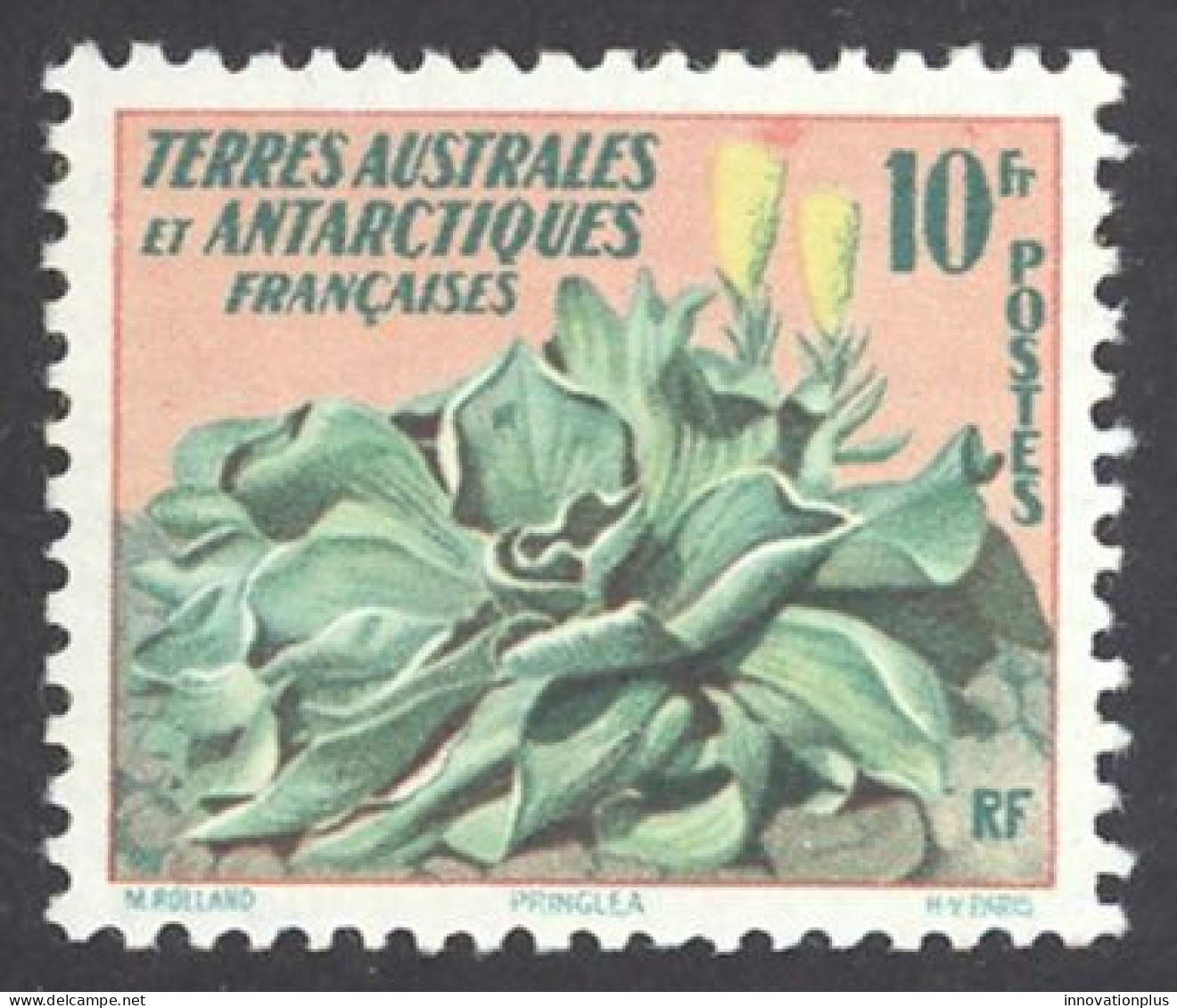 French Southern & Antarctic Terr. Sc# 11 MNH 1959 Flowers - Neufs