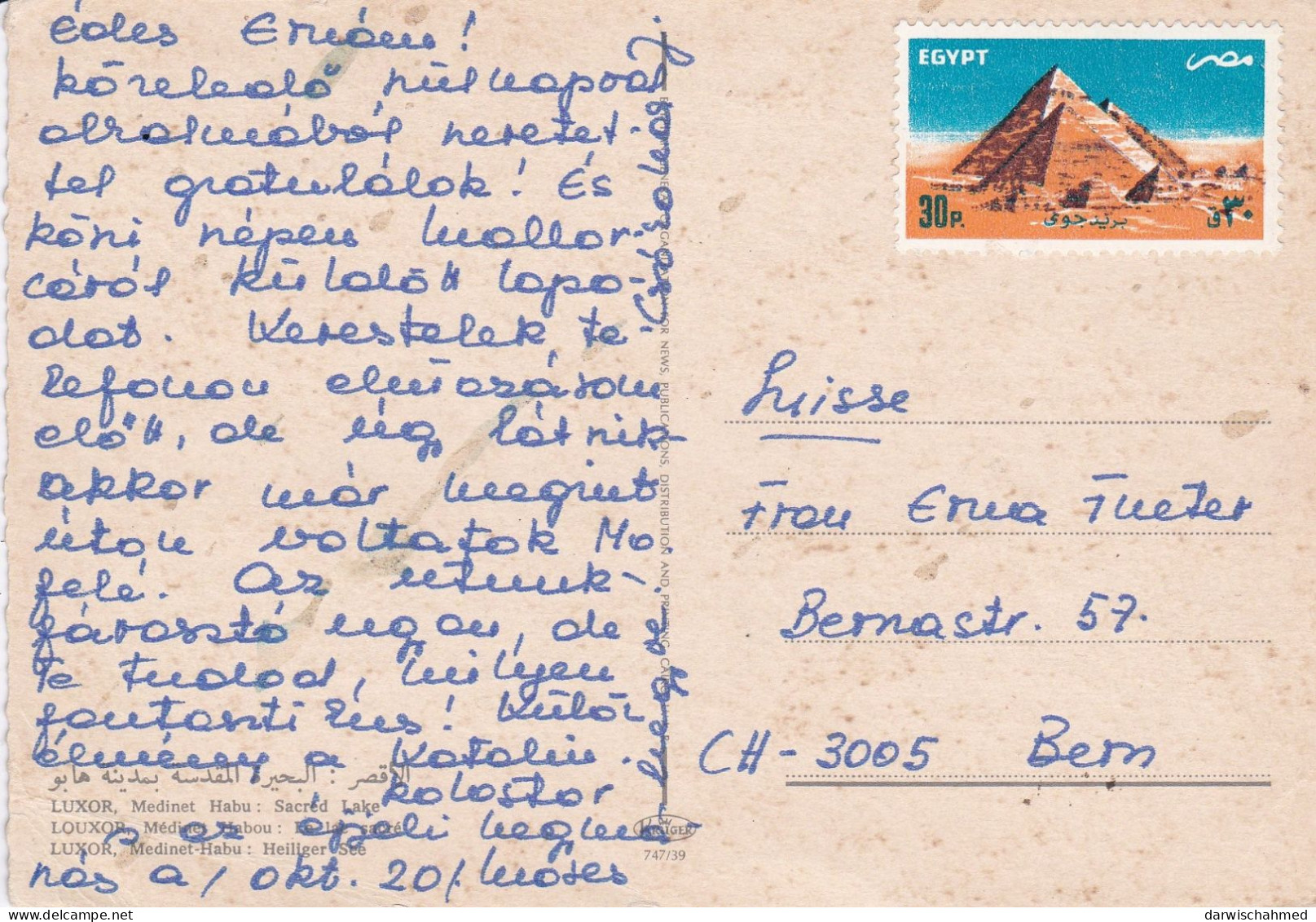 ÄGYPTEN - EGYPT - DYNASTIE- ÄGYPTOLOGIE -HEILIGE SEE - HABU CITY - LUXOR  - POST CARD - USED - Sphinx