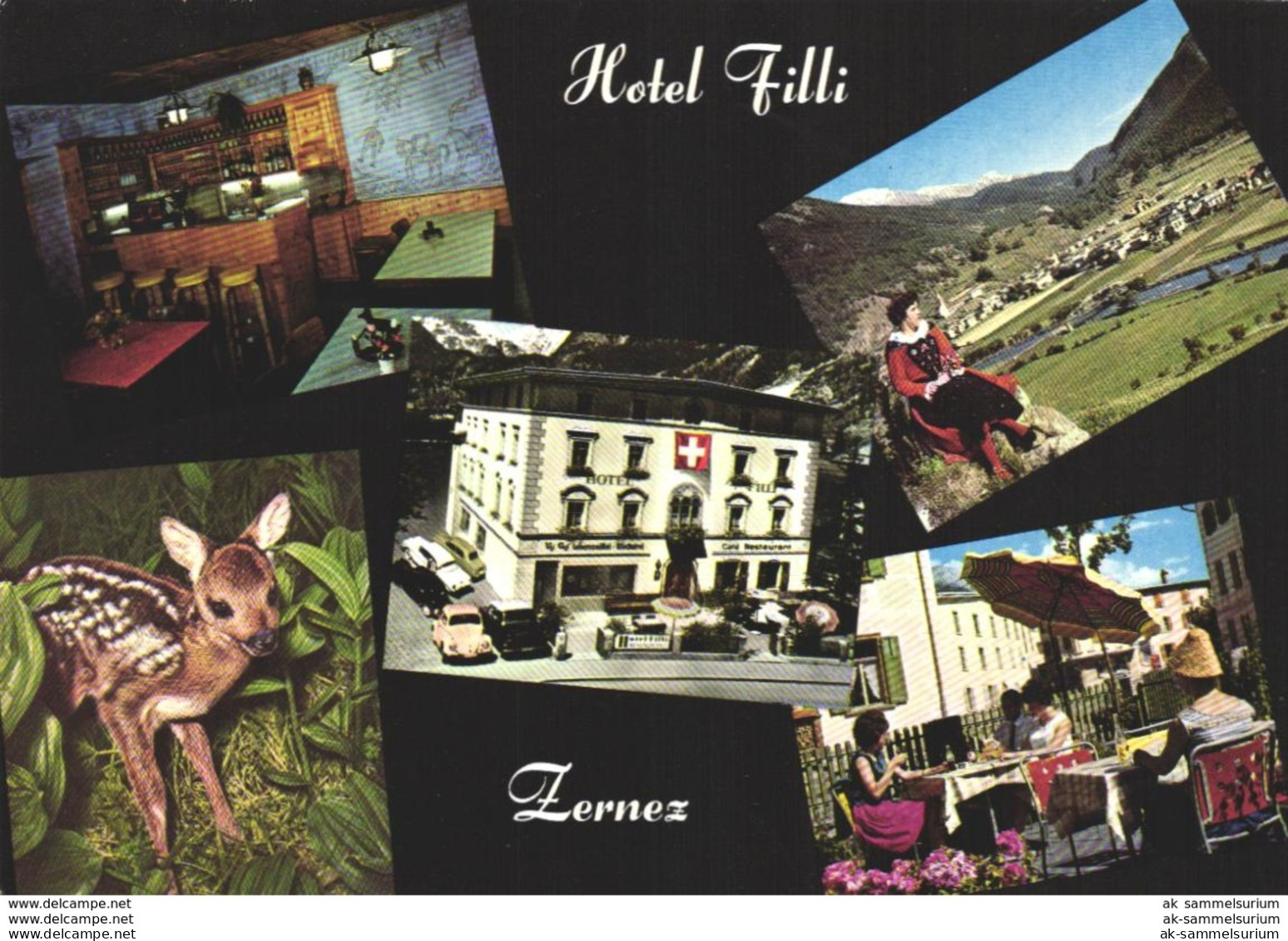 Zernez / Reh / Kitz / Hotel Filli (D-A307) - Zernez