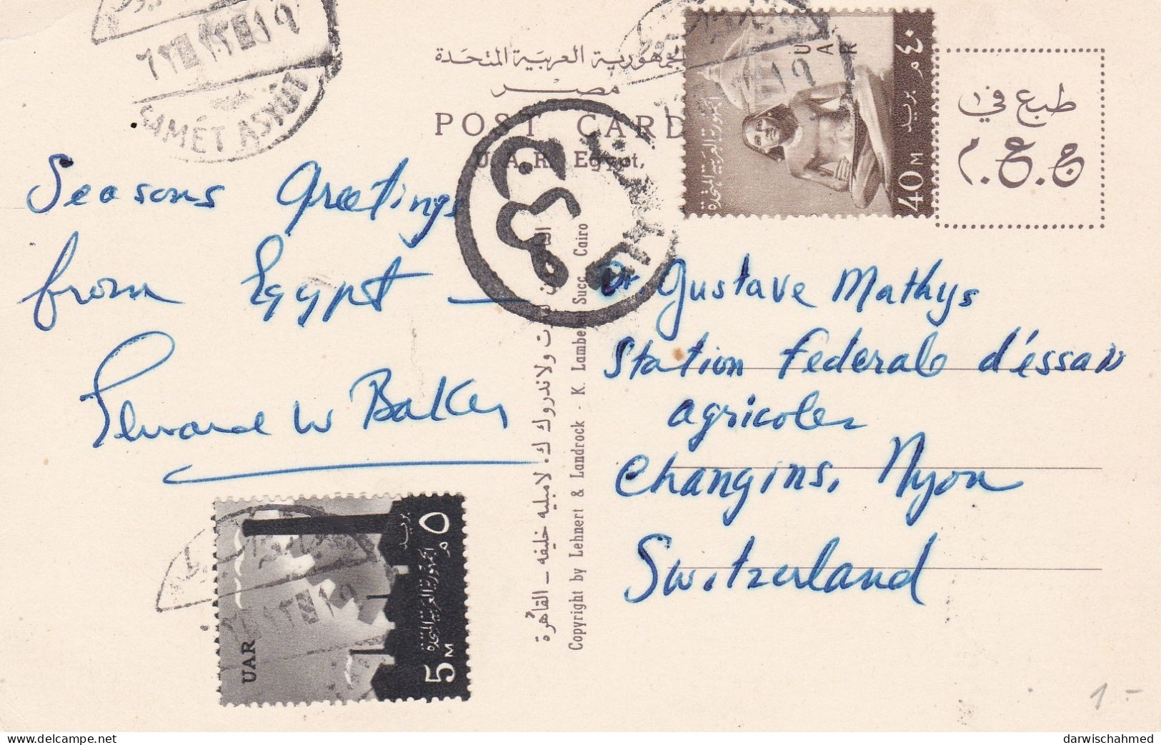 - ÄGYPTEN - EGYPT - DYNASTIE- ÄGYPTOLOGIE - ANSICHTSKARTEN - POST CARD - GEBRAUCHT - Musea