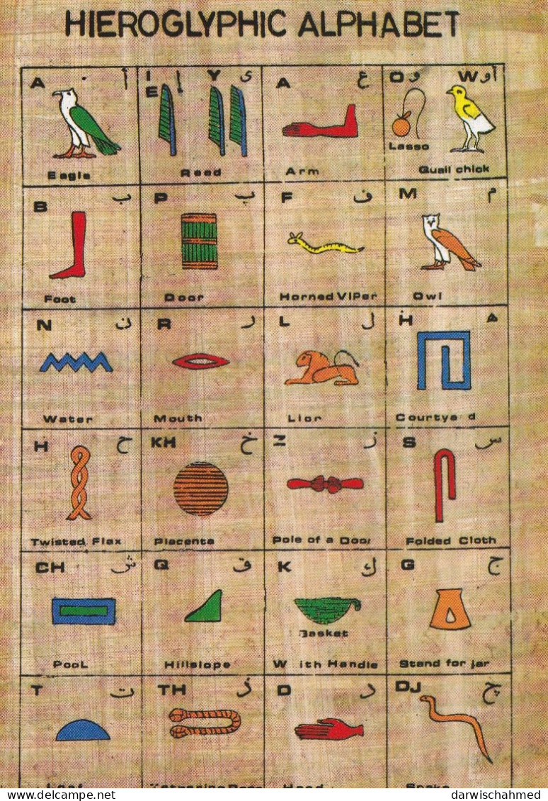 - ÄGYPTEN - EGYPT - DYNASTIE- ÄGYPTOLOGIE - ANSICHTSKARTEN - HIROGLIFEN - POST CARD - GEBRAUCHT - Sphynx