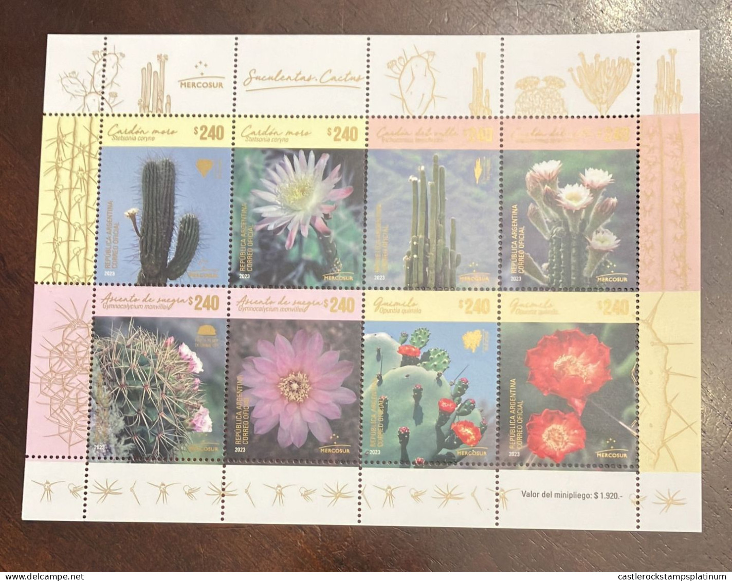 P) 2023 ARGENTINA, MERCOSUR ISSUWE CACTI, SUCCULENTS, DIFFERENT SPECIES, MINISHEET, MNH - Altri & Non Classificati