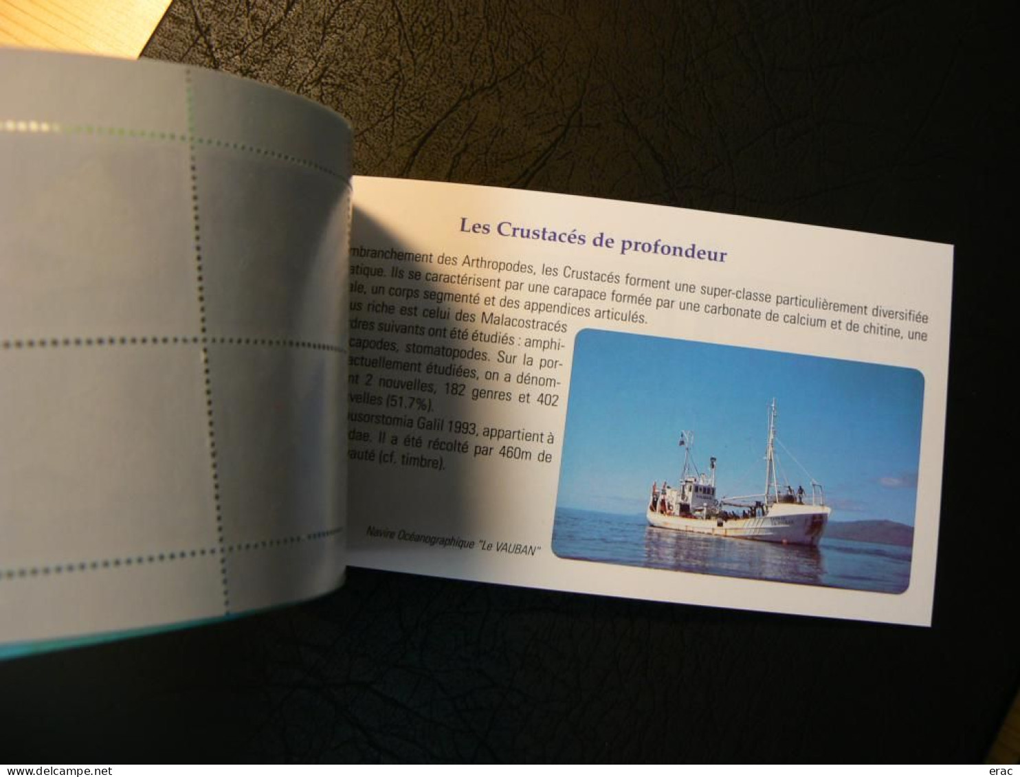 Nouvelle-Calédonie - 1996 - Carnet C 710 - Neuf ** - Faune marine