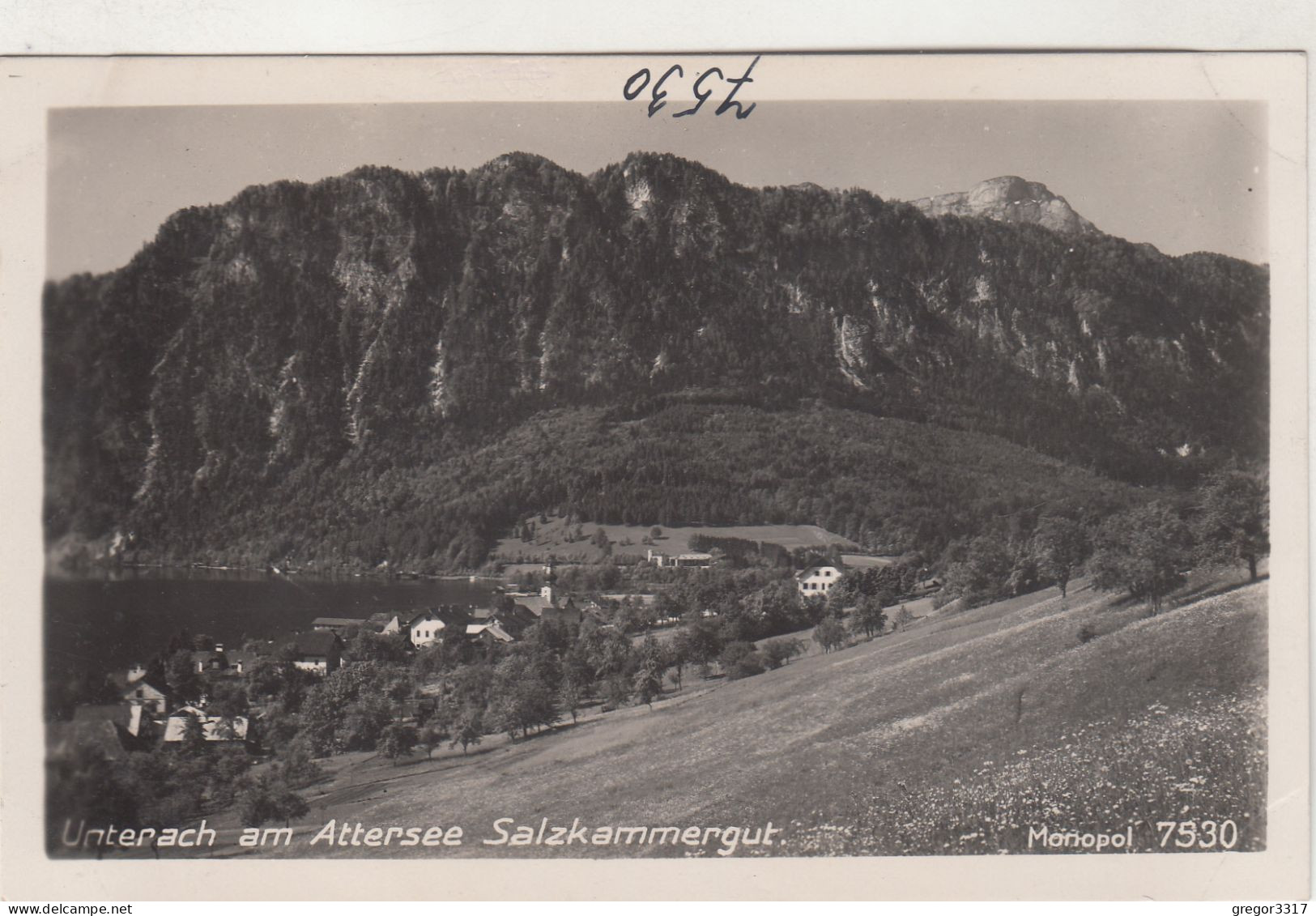 D5379) UNTERACH Am ATTERSEE - Salzkammergut - Blumenwiese U. Blick Auf Häuser Bergwand U. See - Attersee-Orte